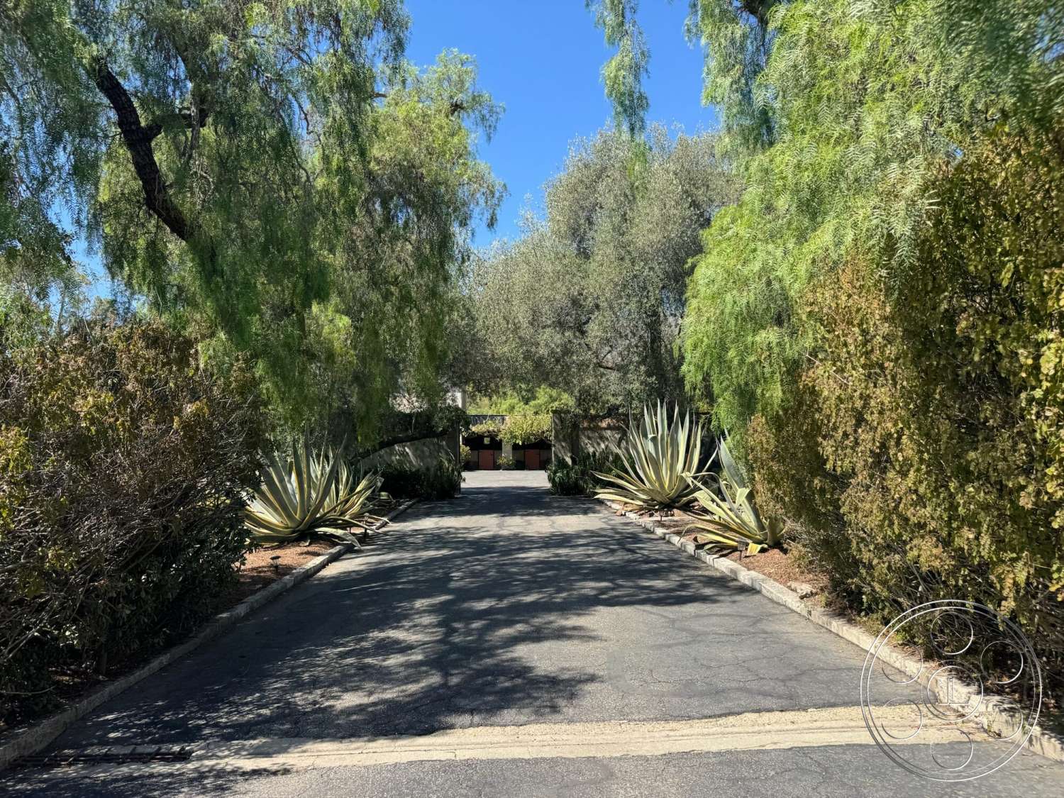 Farmstead Garden - landscaped front yard, asphalt driveway, agave plants, sunny outdoor environment, exterior garden setting, bushy shrubs, native desert plant landscaping, tall trees overhead