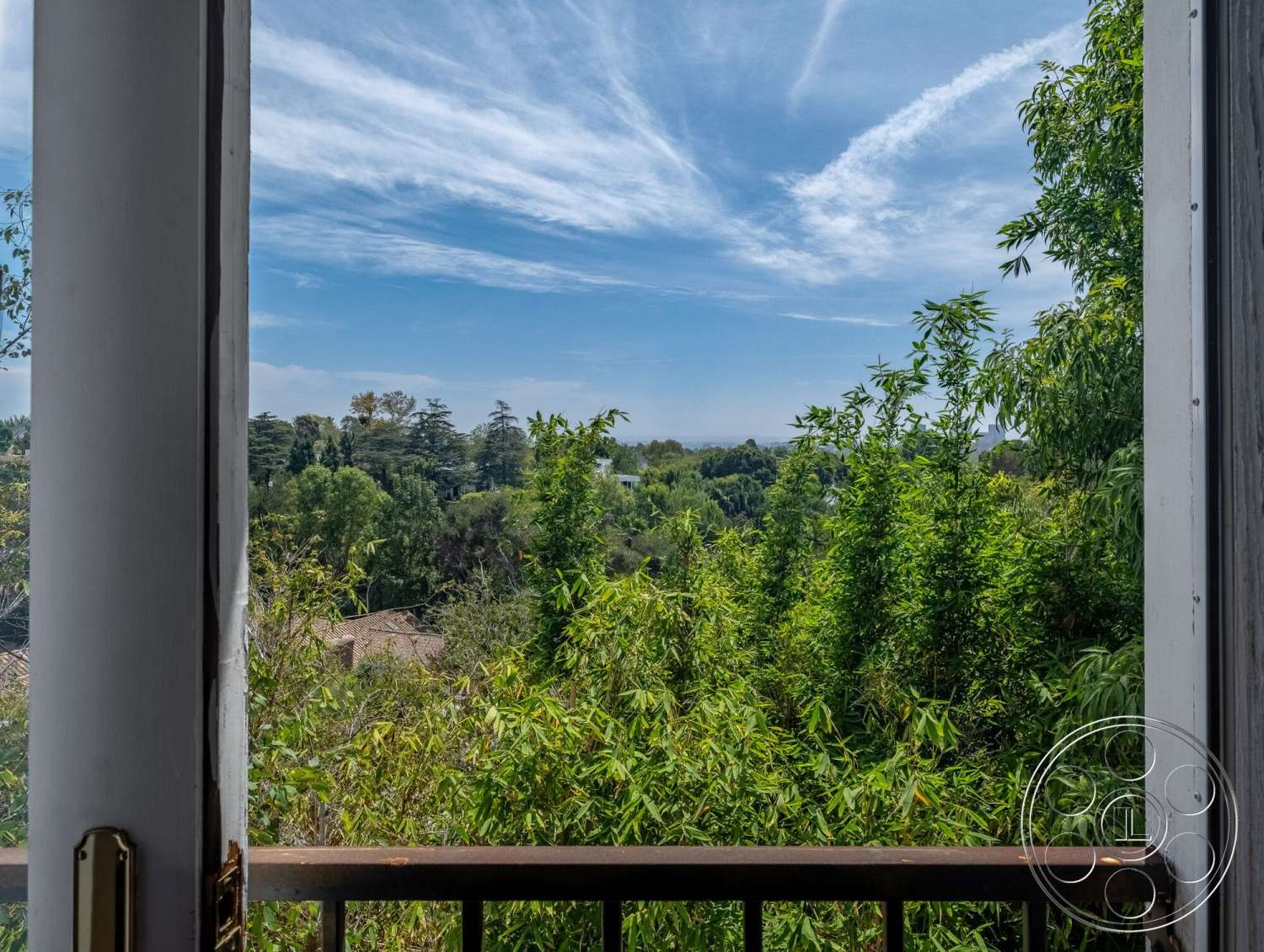 French 29 - green foliage, clear blue sky, interior view, wooden balcony railing, distant tree line, cloudy sky patterns