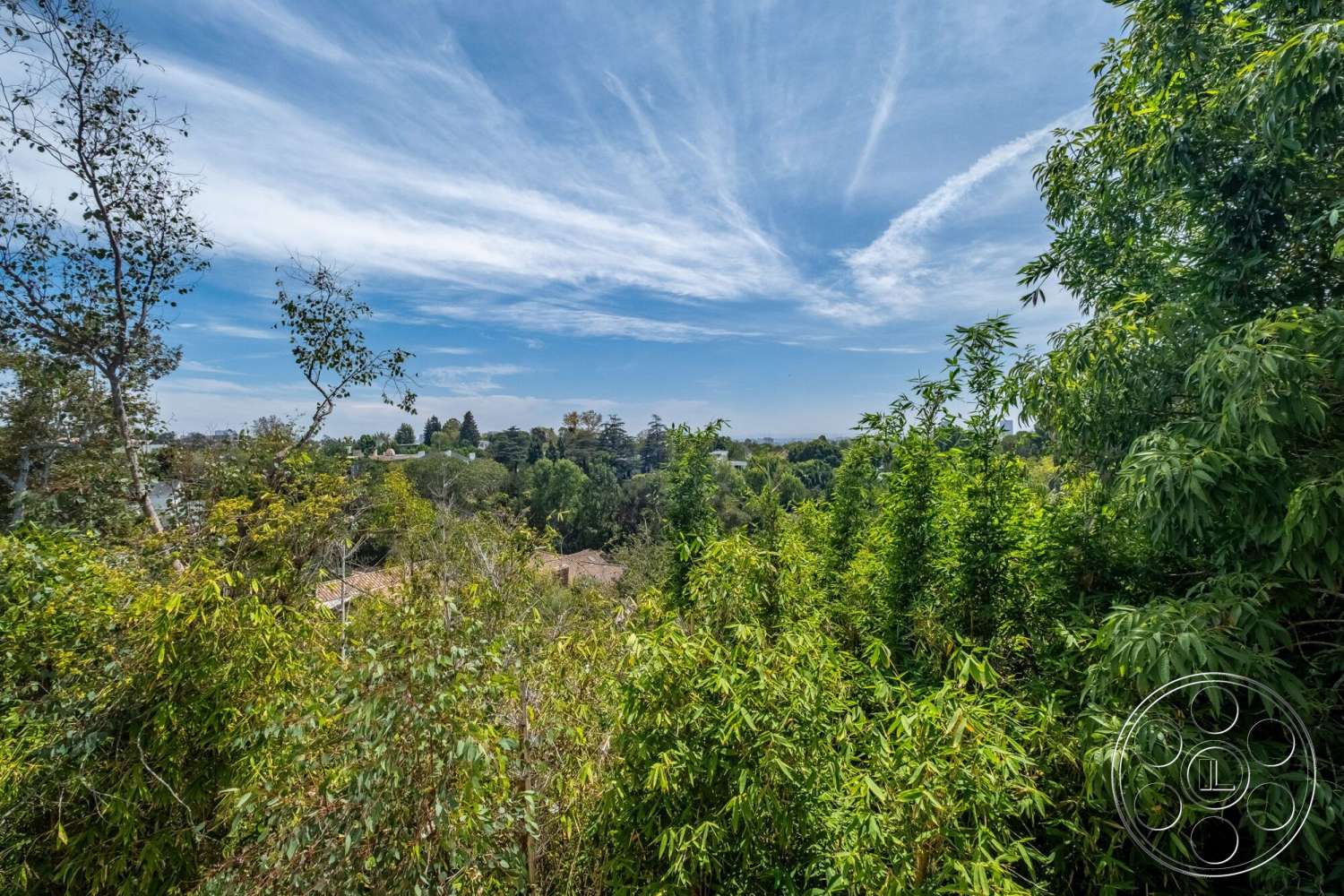 French 29 - natural light, lush greenery, tree canopy, tropical landscaping, dense foliage, outdoor environment, urban hillside setting, blue sky with clouds, panoramic sky view
