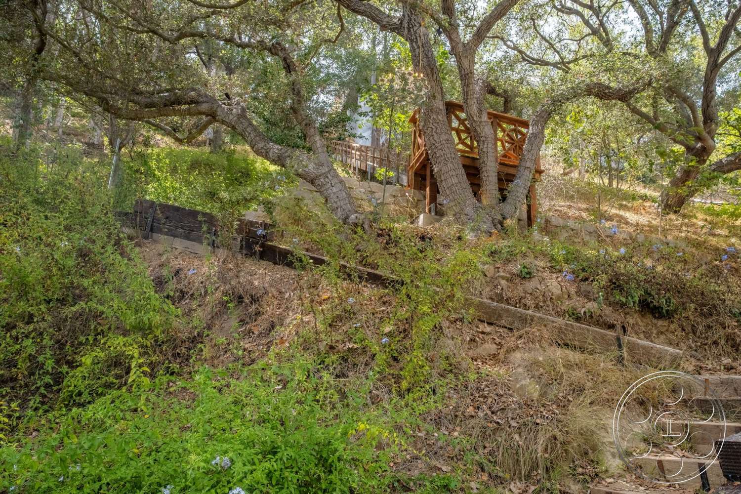 French 29 - exterior, sunlight filtering through trees, hillside location, mature oak trees, natural stone retaining walls, wooden deck overlooking hillside, dirt pathway with stone steps, lush greenery and wildflowers, rustic wooden gazebo