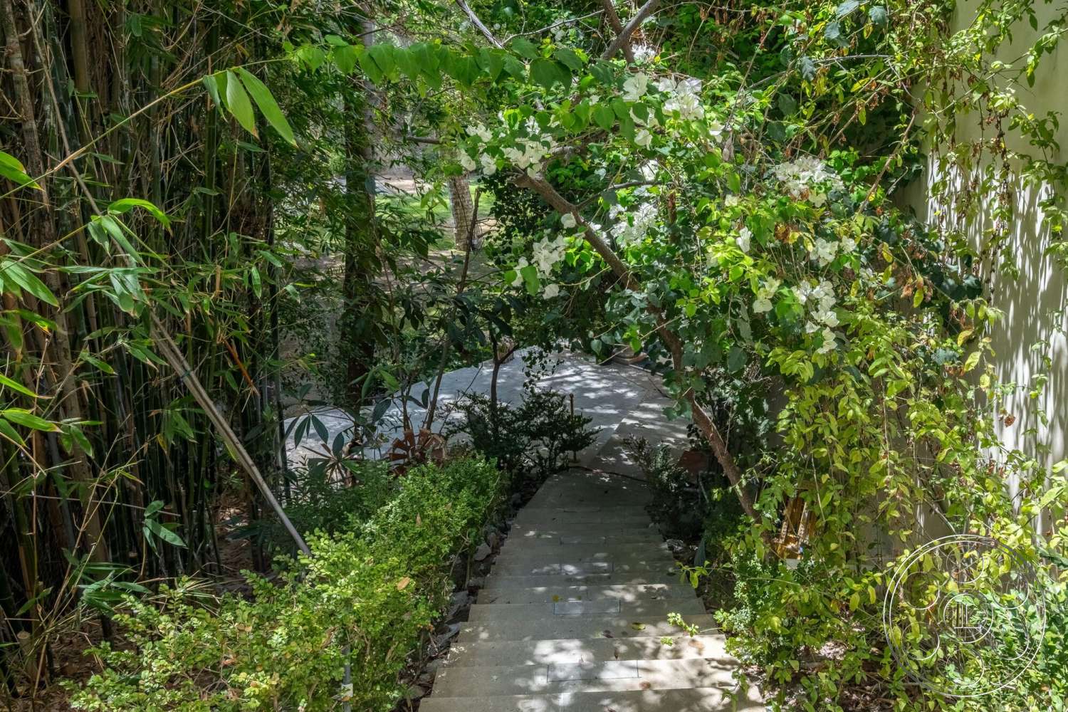 French 29 - exterior, natural stone accents, tropical foliage, shaded walkway, lush greenery surroundings, bamboo privacy screening, softscape landscaping, landscaped garden path, flowering vines, concrete walkway steps, light grey pavers