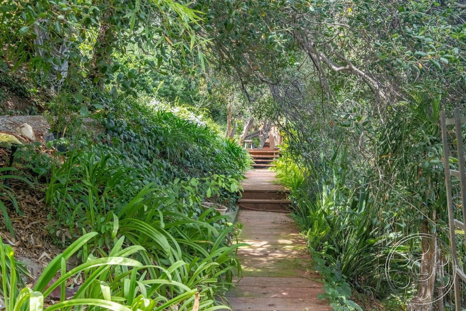 French 29 - exterior, flowering plants, wooden pathway, garden setting, stepped pathway, bamboo accents, landscape vegetation, overhanging trees, dense greenery, natural wooden planks
