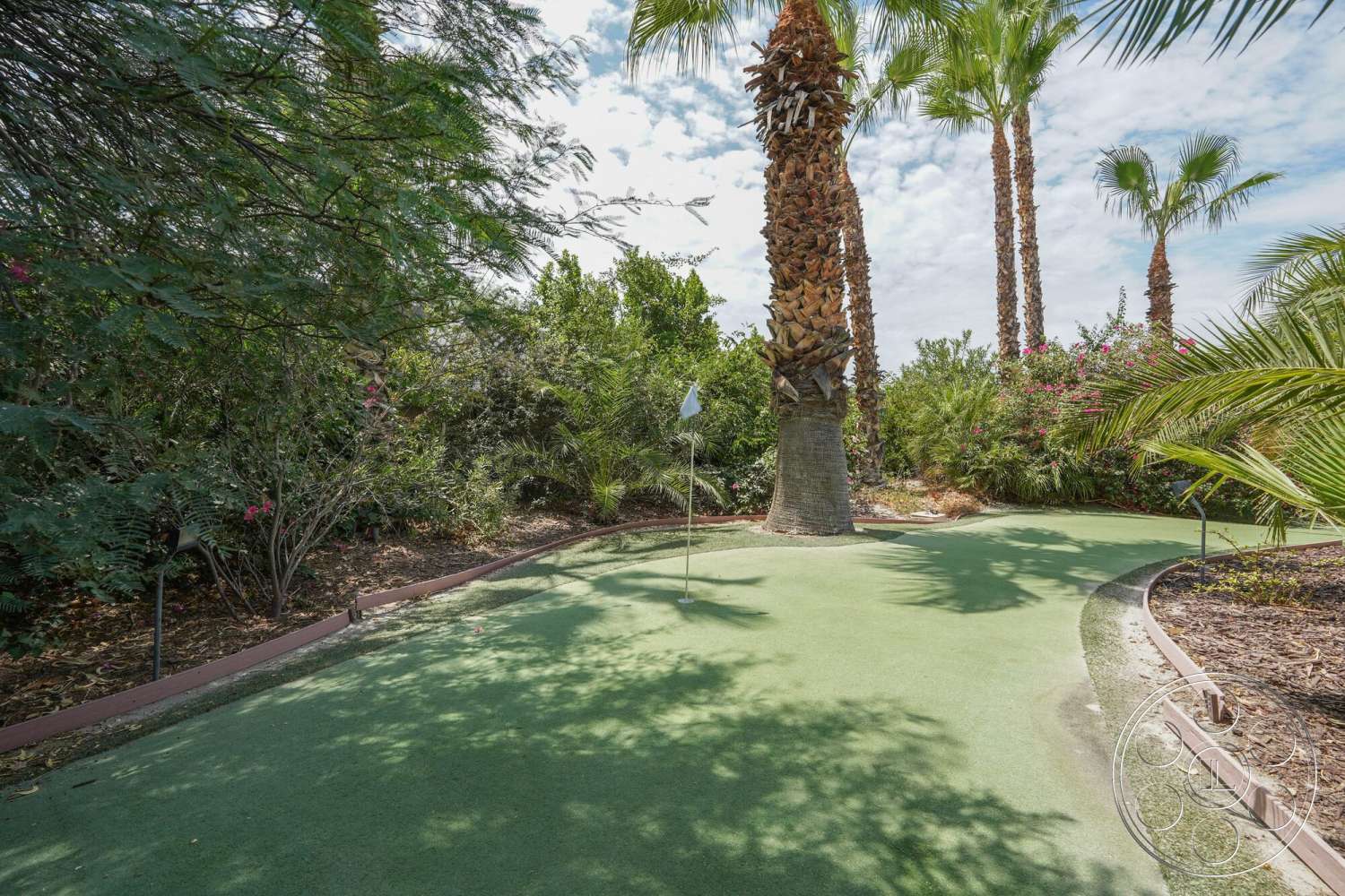 Rancho Mirage 4 - exterior, palm tree landscaping, lush tropical vegetation, synthetic turf putting green, mulch garden beds, curved putting green layout, flowering shrub border, flag pole for golf hole