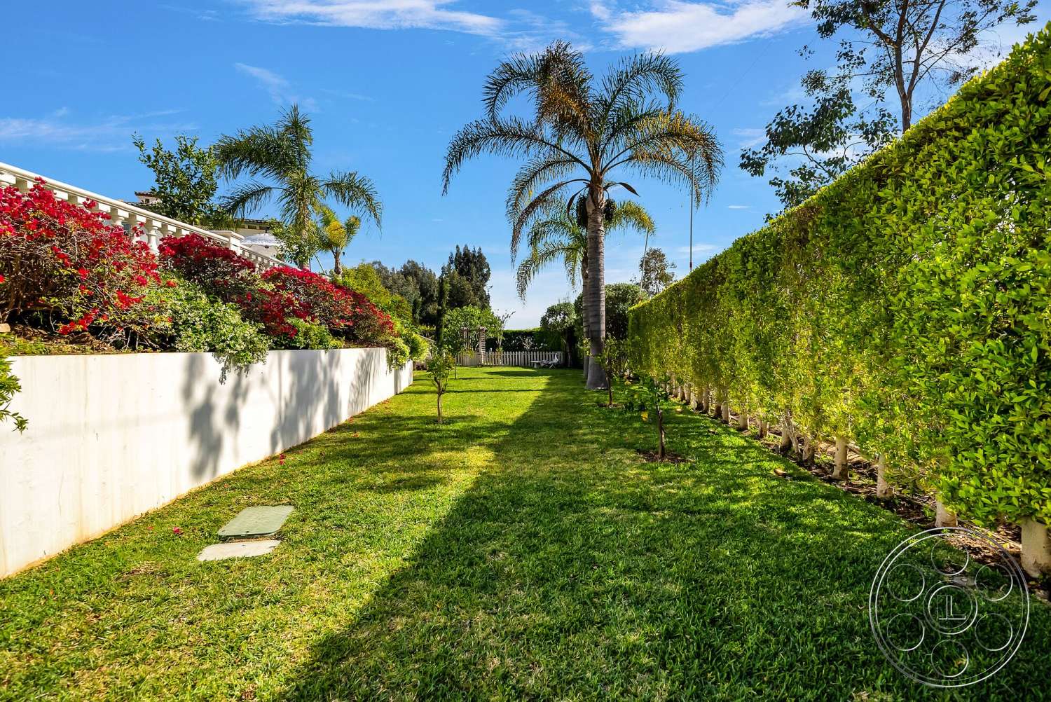 Medit 171 - exterior, tropical palm trees, suburban backyard, hedge privacy fence, concrete retaining wall, lush green grass lawn, outdoor garden setting, red bougainvillea, flowering plants landscaping, sunlight dappled garden, manicured garden path