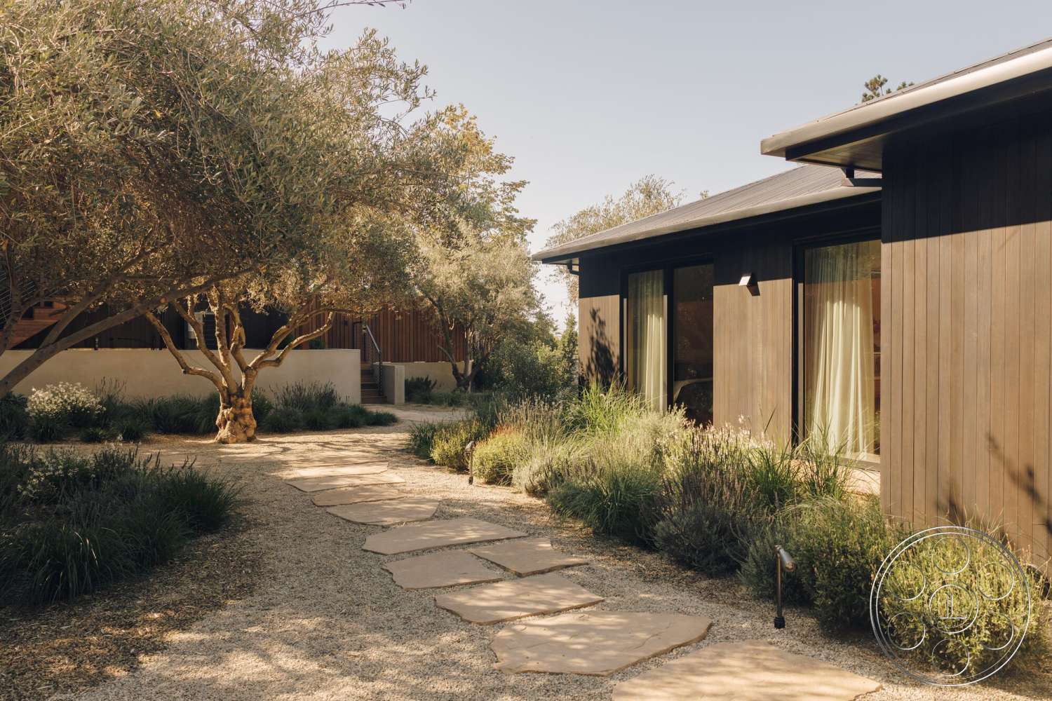 Modern 533 - exterior, low-maintenance landscaping, flat roof, large glass windows, slate stone pathway, gravel landscape, modern residential design, contemporary courtyard, wooden siding walls, native plants garden, open-air entry, olive tree feature