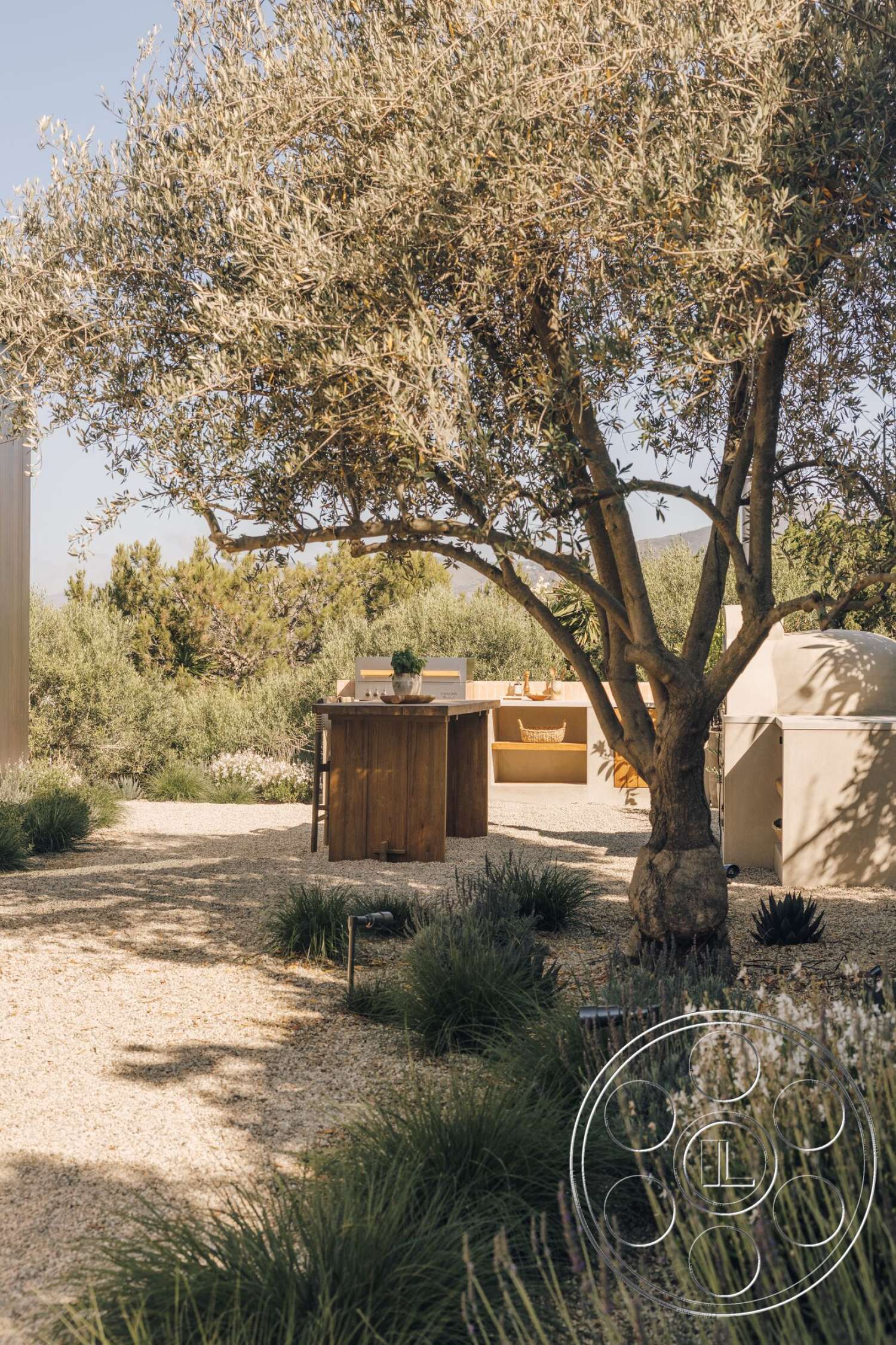 Modern 533 - exterior, outdoor dining area, gravel pathway, minimalist architectural style, drought-tolerant plantings, wooden outdoor kitchen island, natural stone gravel patio flooring, olive tree landscape feature, textured landscaping with low shrubs