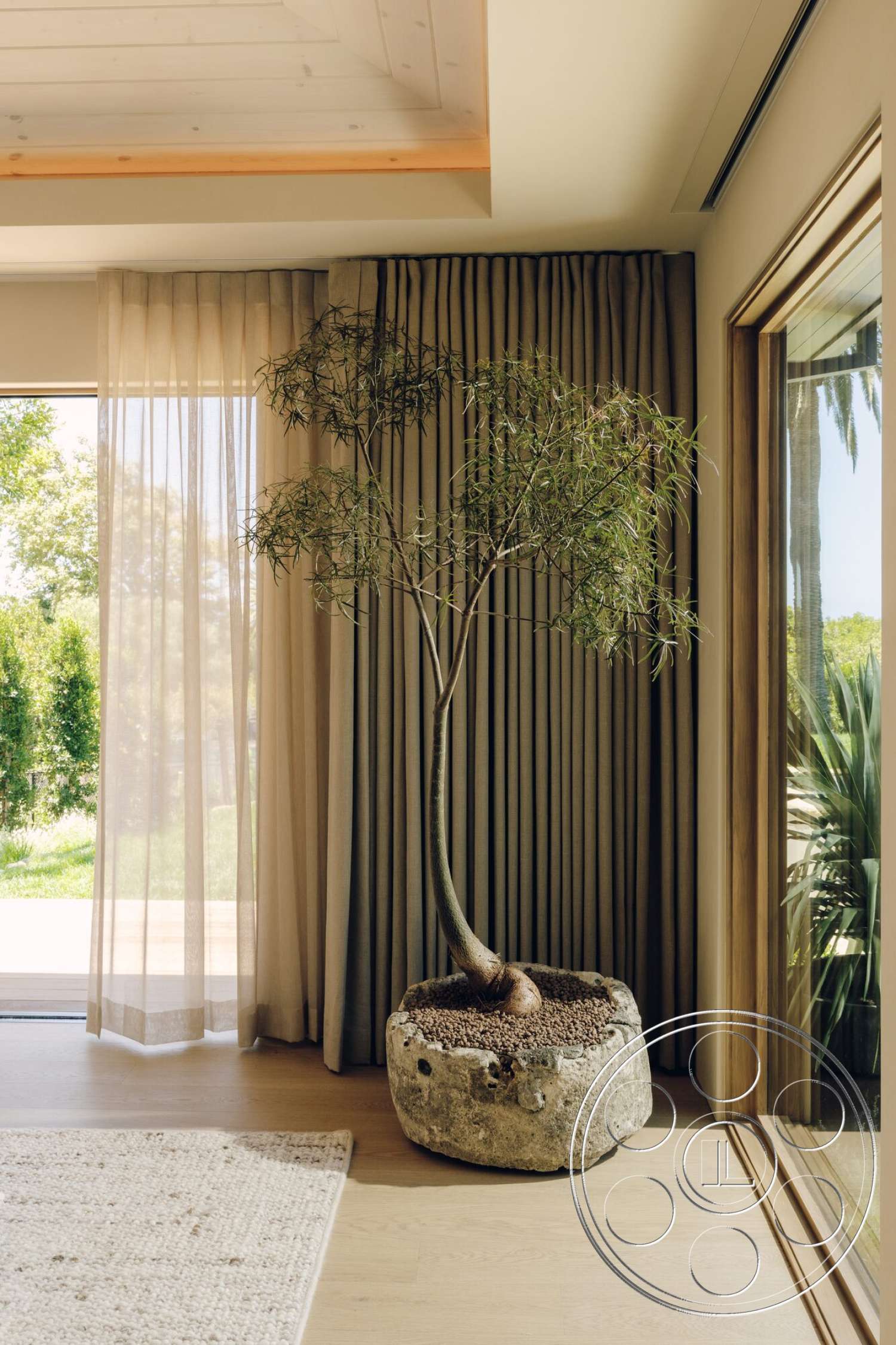 Modern 533 - minimalist decor, natural wood flooring, floor-to-ceiling windows, woven area rug, concrete planter, wood beam ceiling, modern design aesthetic, curtained window treatment