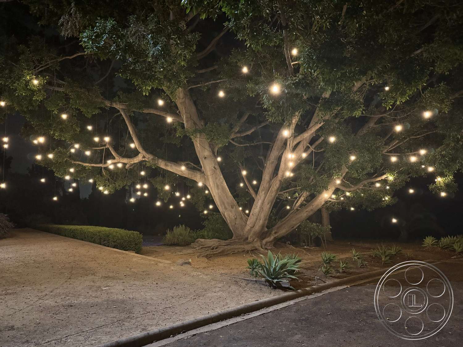 Villa Italy - exterior, hanging string lights, gravel driveway, low hedges, landscaped garden area, natural outdoor setting, large deciduous tree, ground cover plants, ambient nighttime lighting