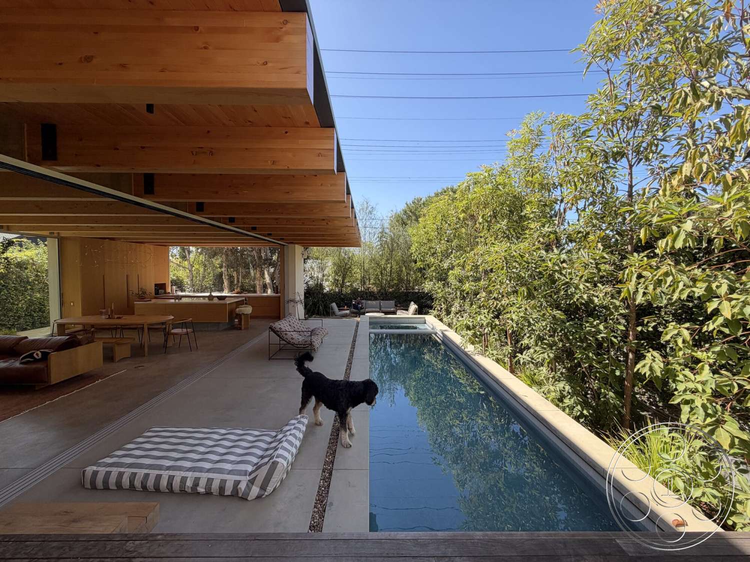 Retro House - exterior, minimalist design, rectangular swimming pool, modern outdoor space, large sliding glass doors, concrete patio flooring, lush greenery setting, open concept living area, built-in outdoor seating, wood beam overhang, concrete pool borders, cedar exterior paneling
