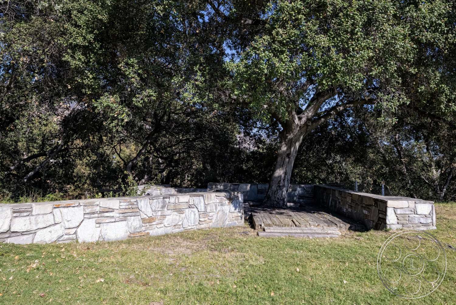 MCM 29 - exterior, wooden deck, lush green grass, natural stone finish, mature oak tree, surrounding forest setting, weathered wood planks, stone seating wall