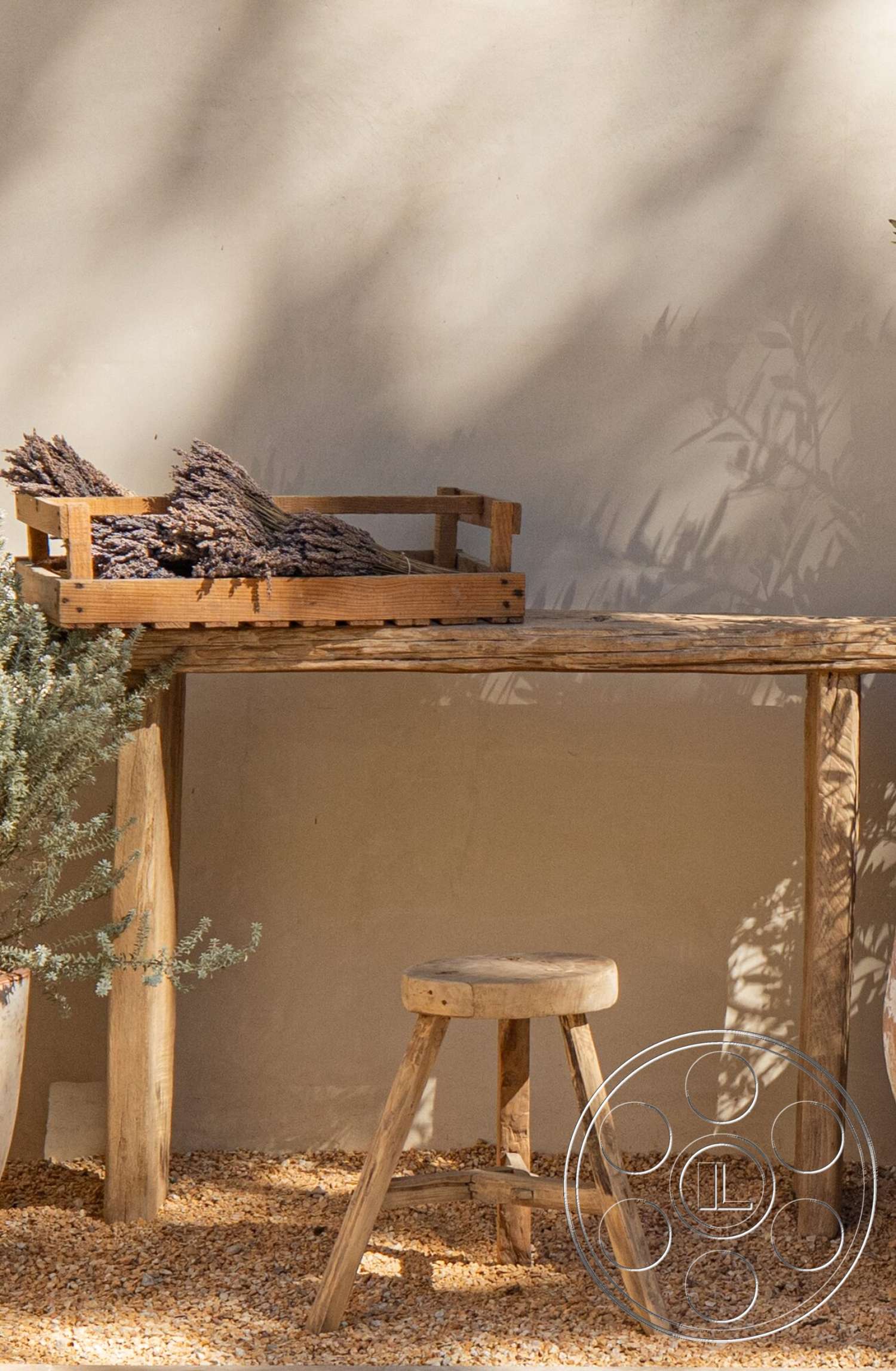 Modern 535 - exterior, potted plant, wood dining table, stucco wall, natural wood texture, sunlit courtyard, minimalist outdoor setting, gravel ground covering, natural landscape elements, rustic wood stool, wooden crate for herbs