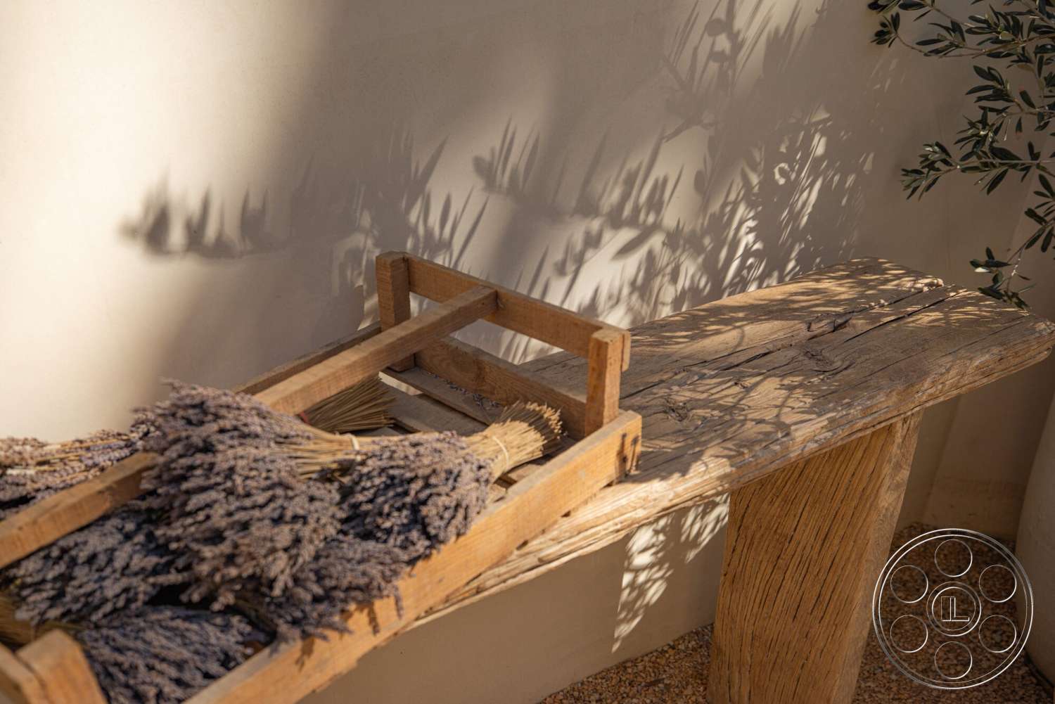 Modern 535 - natural stone flooring, textured plaster wall, interior garden setting, rustic wood bench, weathered wood tabletop, lavender bundle decoration, organic shape table legs, sunlight shadow patterns