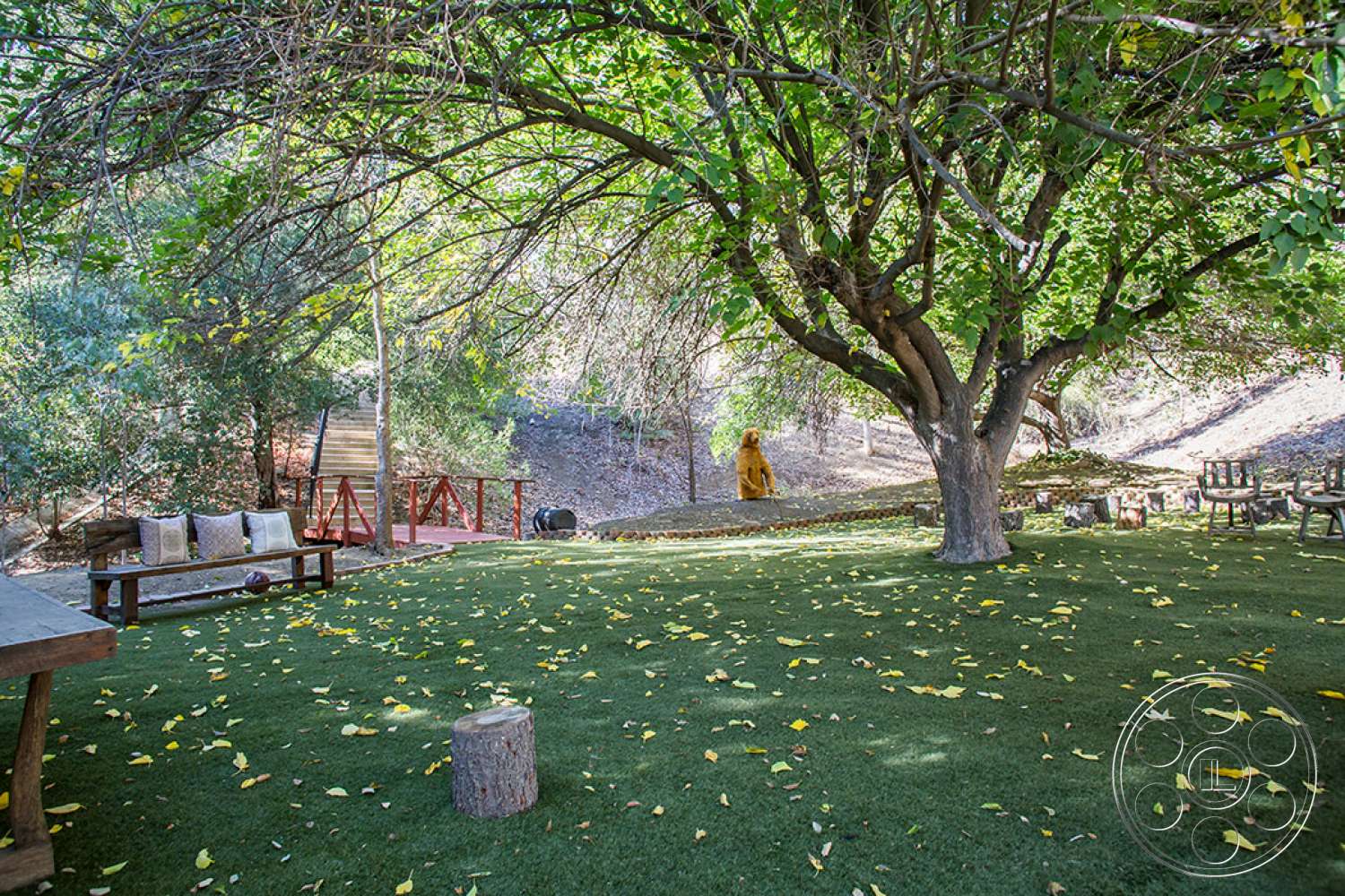 Medit 31 - furniture, ground, tree, bench, grass, tree trunk, lawn