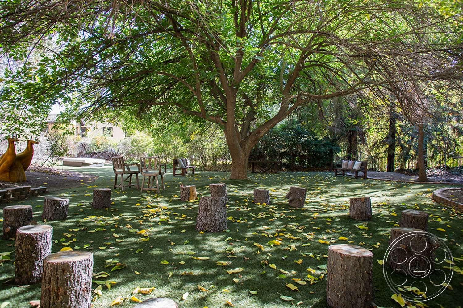 Medit 31 - furniture, animal, bird, tree, bench, poultry, fowl, chicken, tree stump, tomb