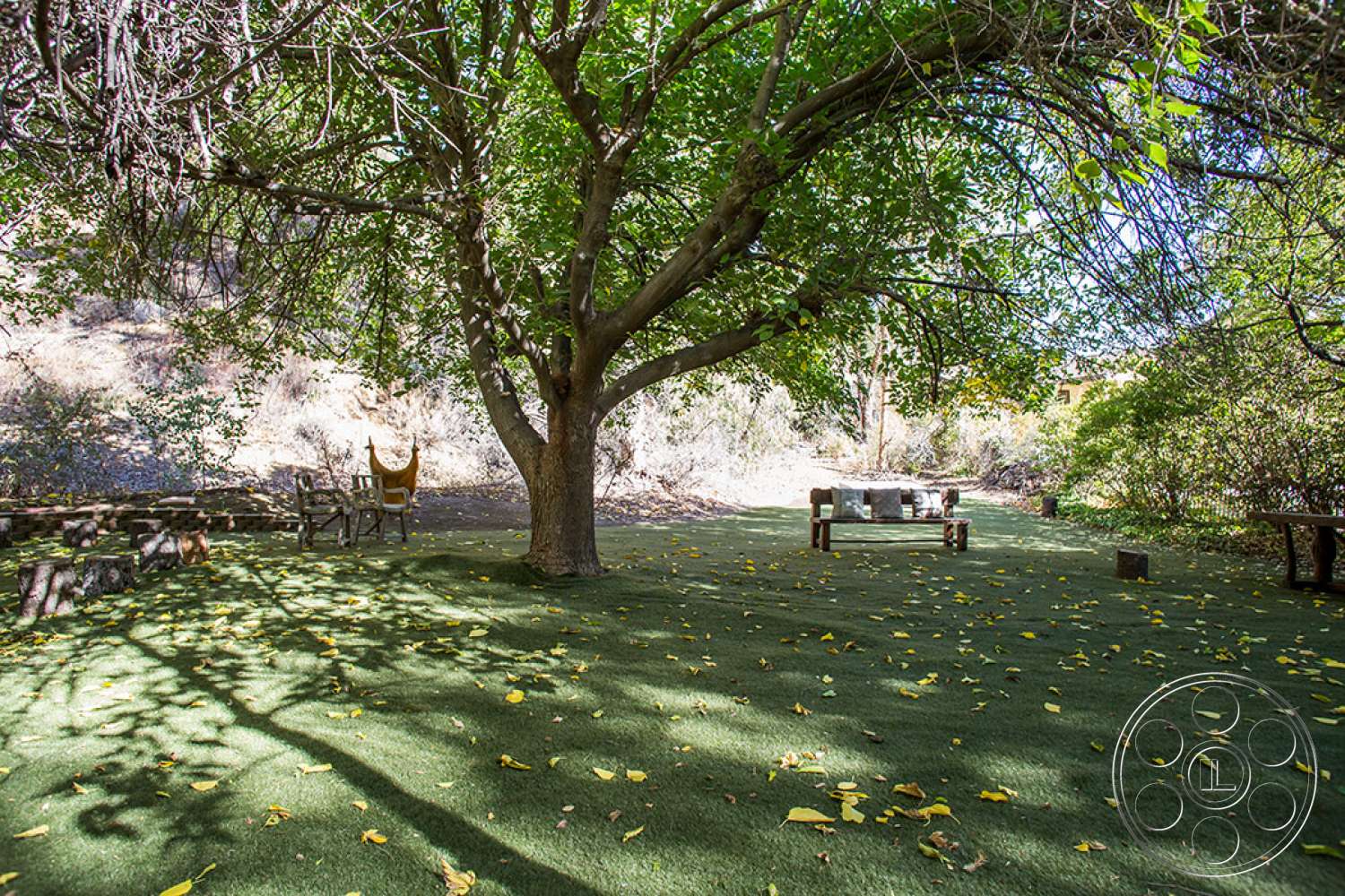 Medit 31 - furniture, tree, bench, tree trunk