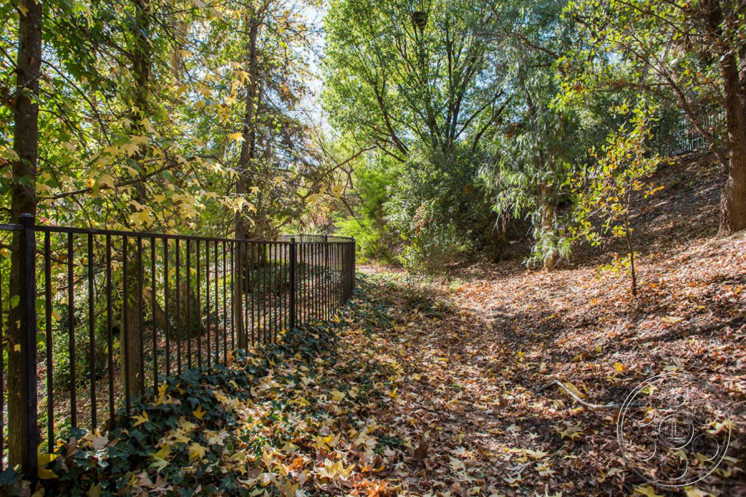 Medit 31 - ground, tree, vegetation, path, railing
