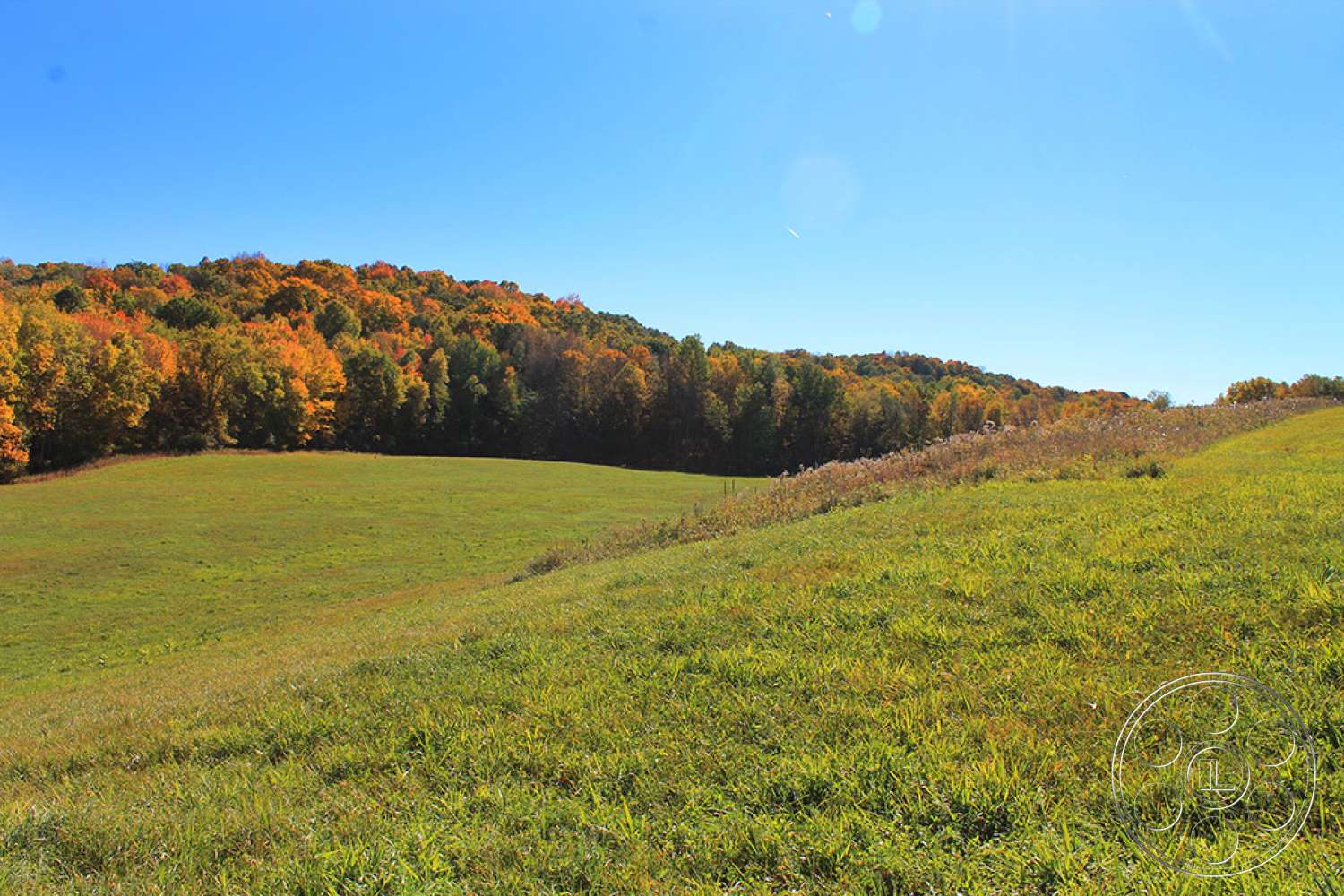 New York 20 - outdoors, rural, countryside, field, grassland, farm, meadow, pasture