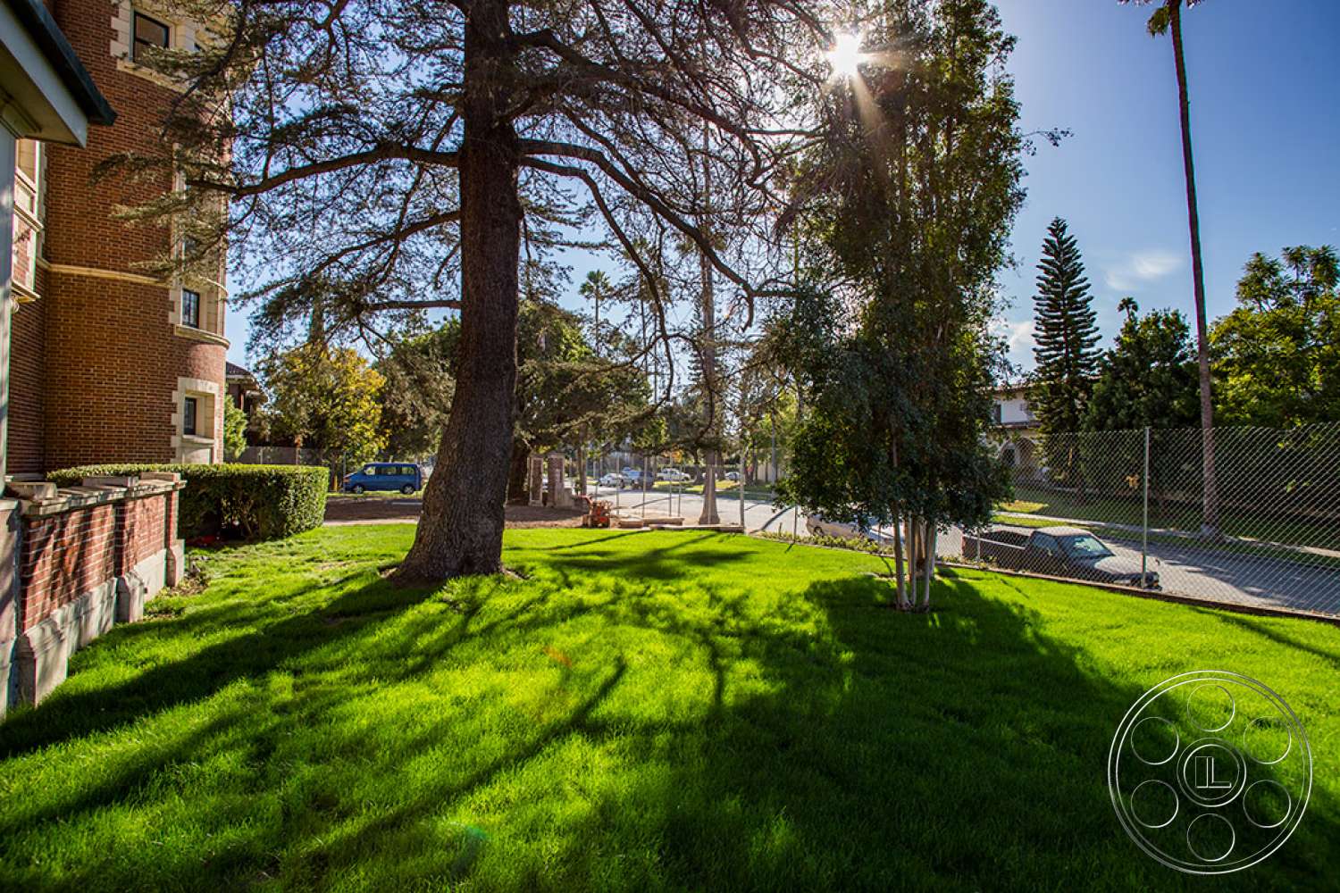The Rosenheim Mansion - tree, grass, lawn