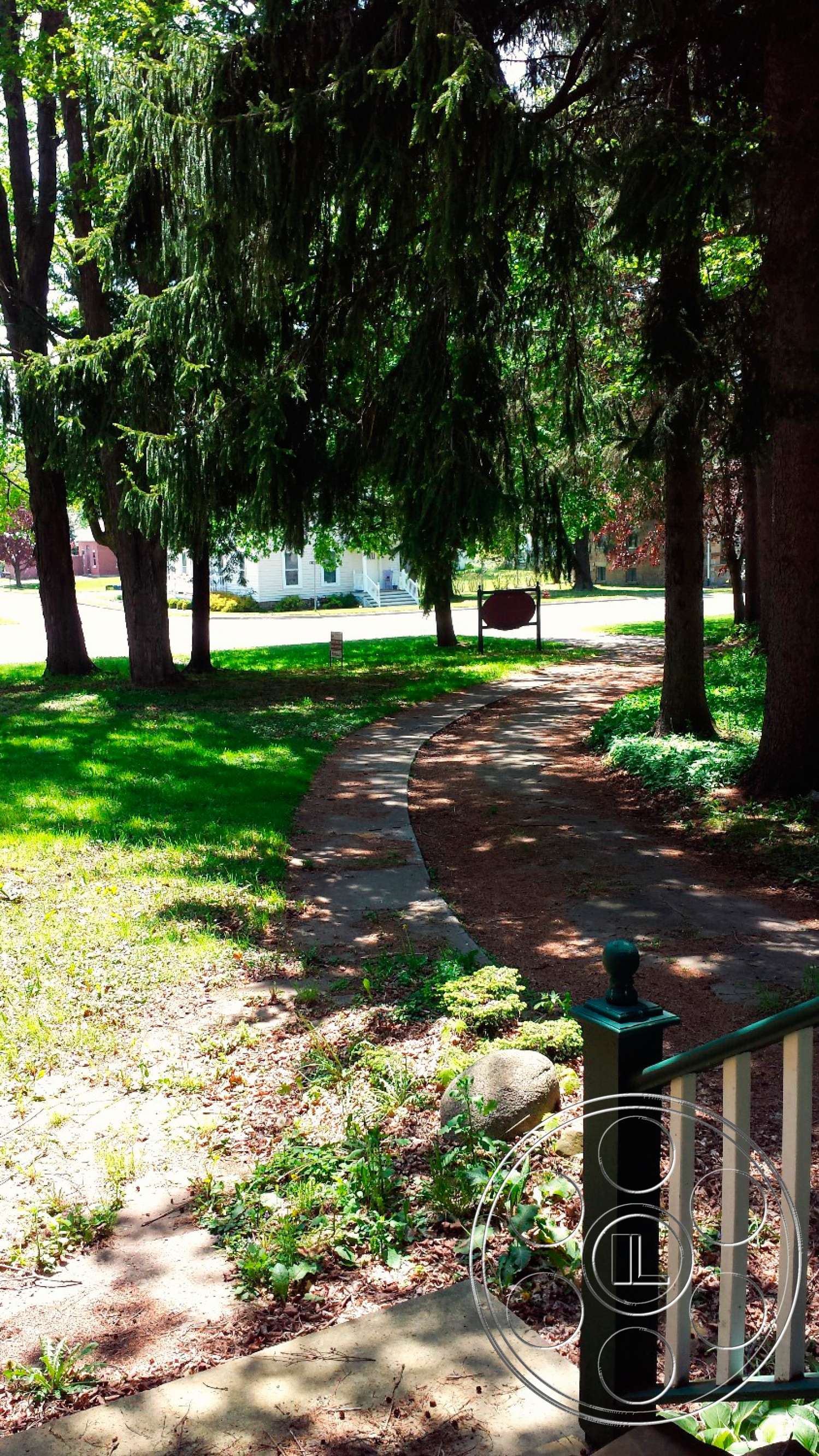 New York 21 - plant, flagstone, tree, path, tree trunk
