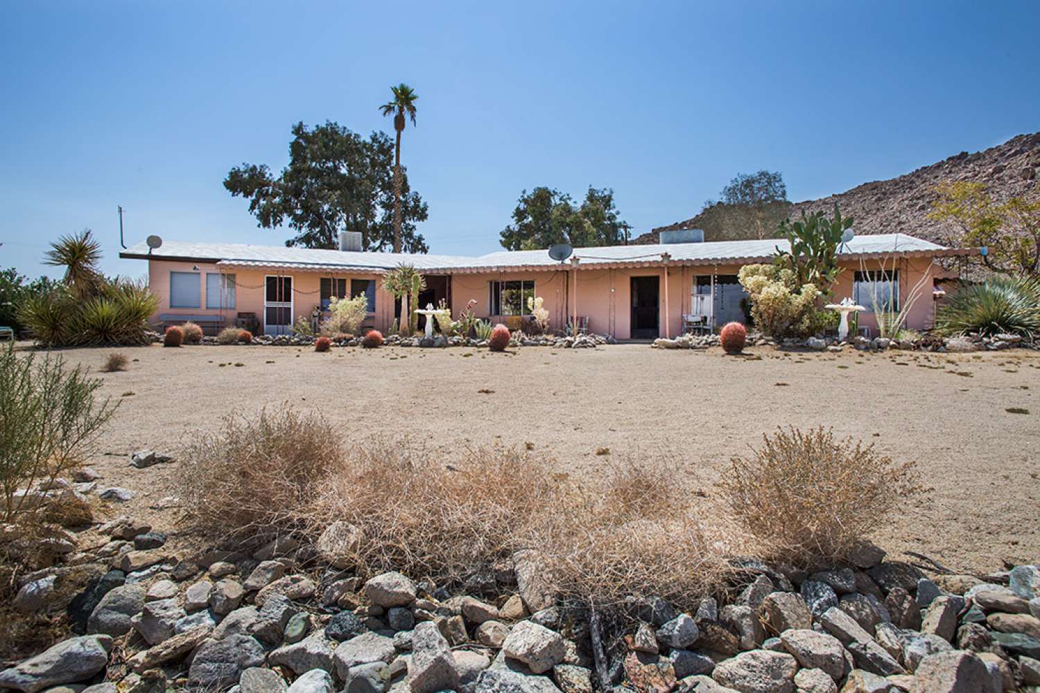 Palm Springs 70