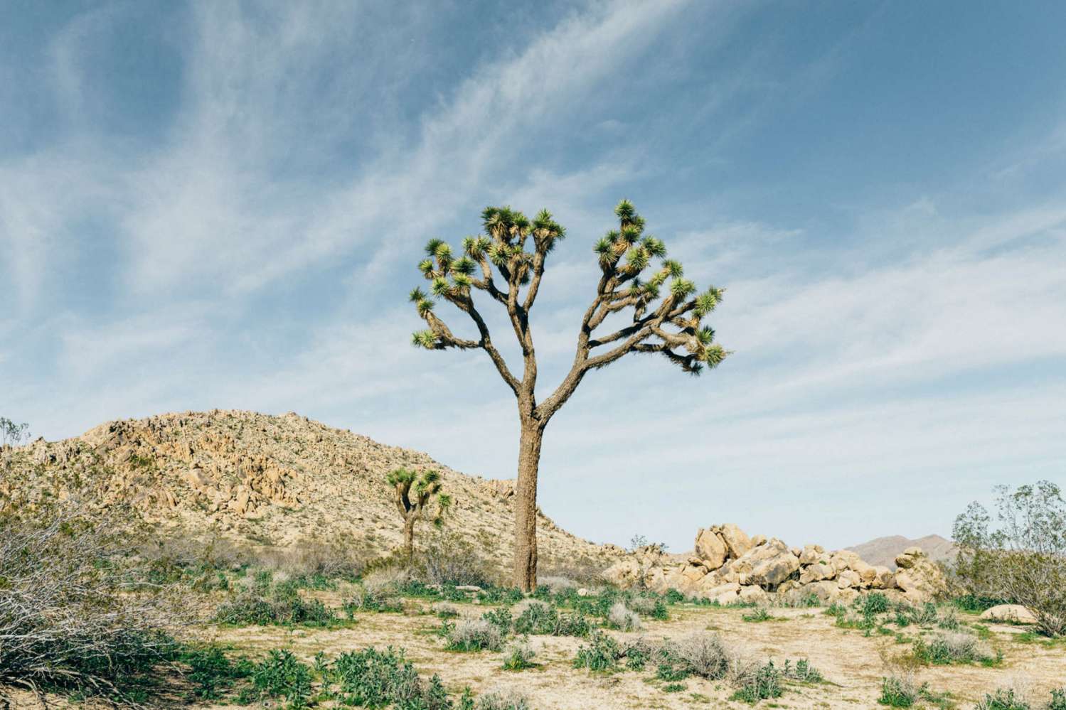 Desert 18