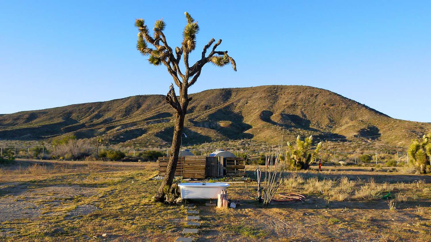 Desert 11