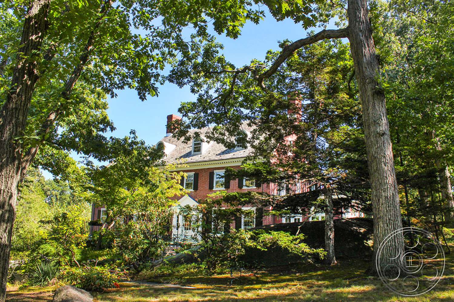 New York 16 - plant, tree, cottage, house, tree trunk