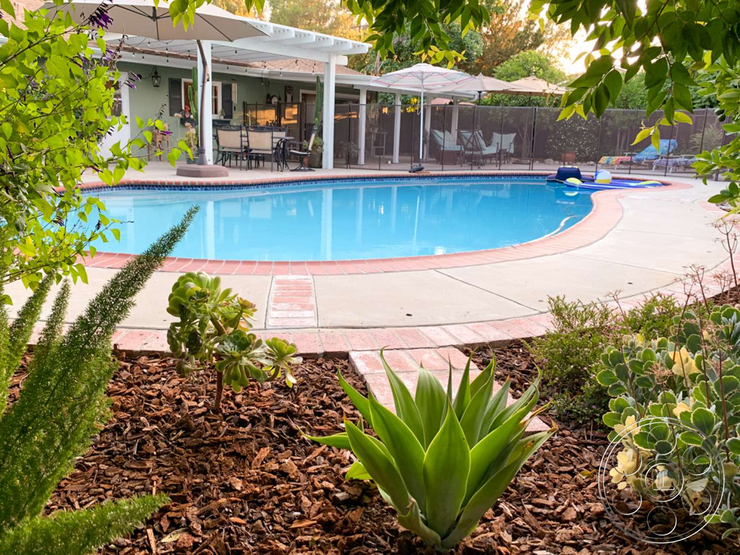 Americana 179 - plant, outdoors, water, pool, garden, yard