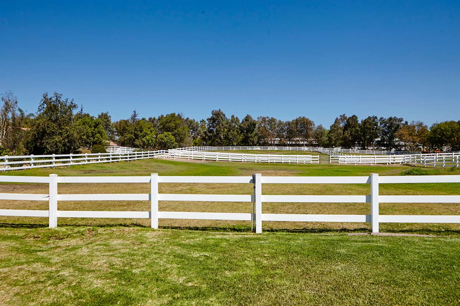 Ranch 40