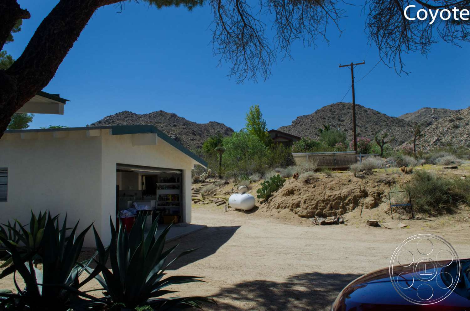 Joshua Tree 5 - plant, shelter, outdoors, rural, countryside, agavaceae