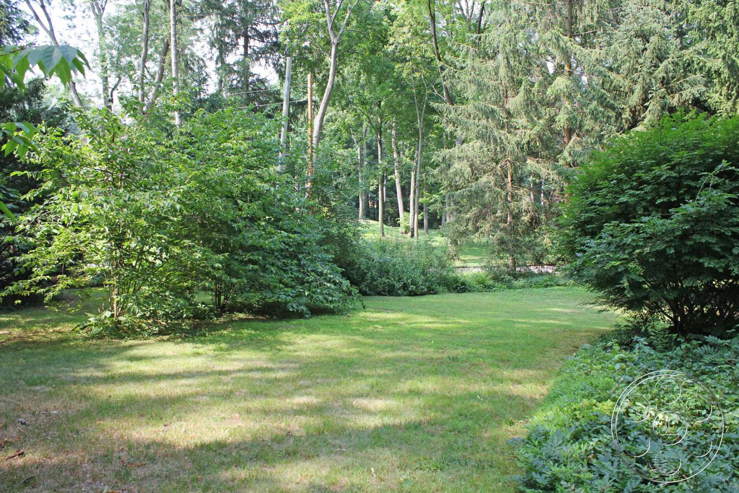 Long Island 10 - plant, outdoors, tree, vegetation, land, garden, yard, backyard, grass, lawn, forest, woodland, grove