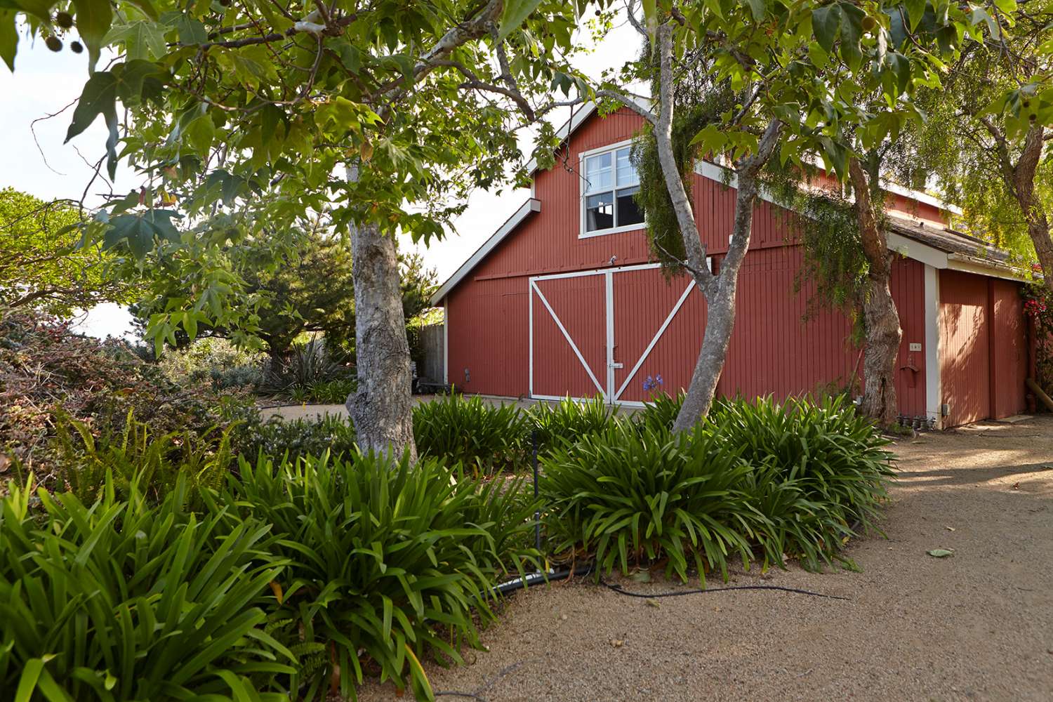 Ranch 19