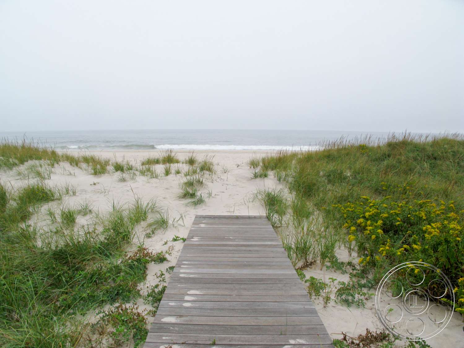 Hamptons 4 - staircase, water, bridge, boardwalk, waterfront, pier, port, dock, green