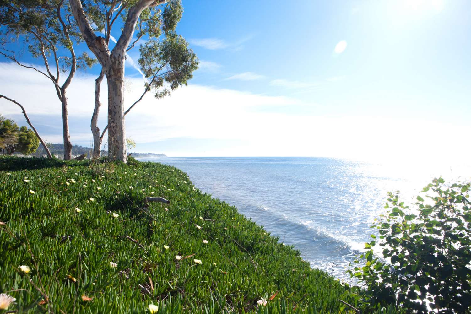 Santa Barbara 57
