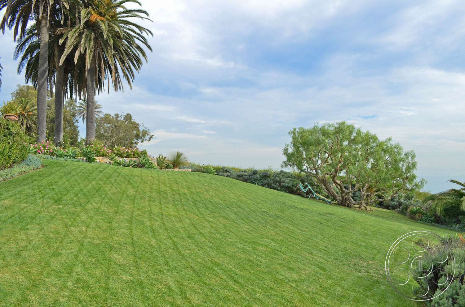 Mansion 16 - grass, lawn