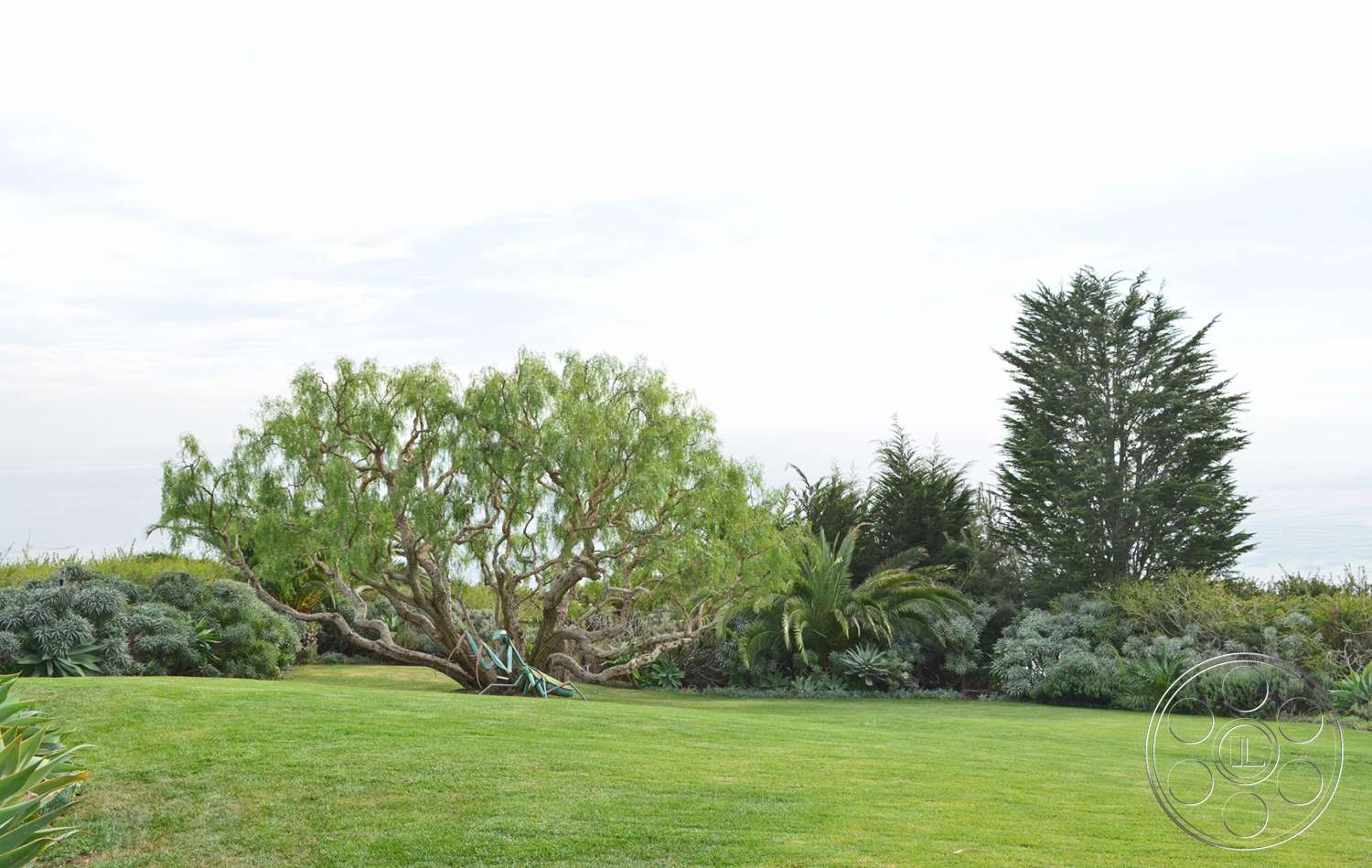 Mansion 16 - outdoors, tree, grass, lawn, park