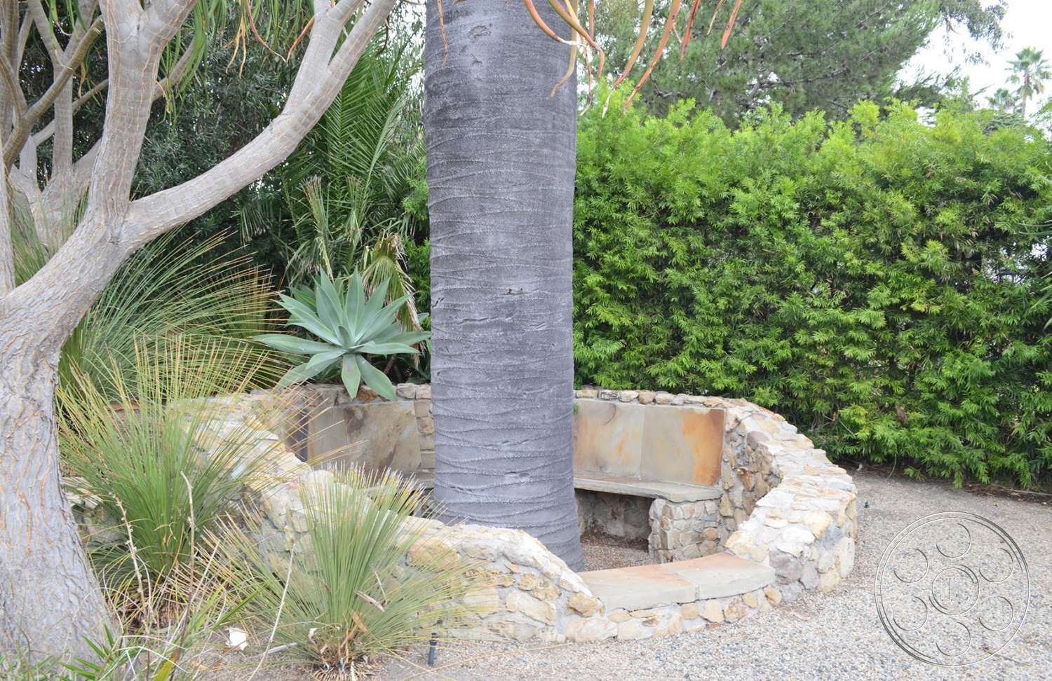 Mansion 16 - tree, tree trunk