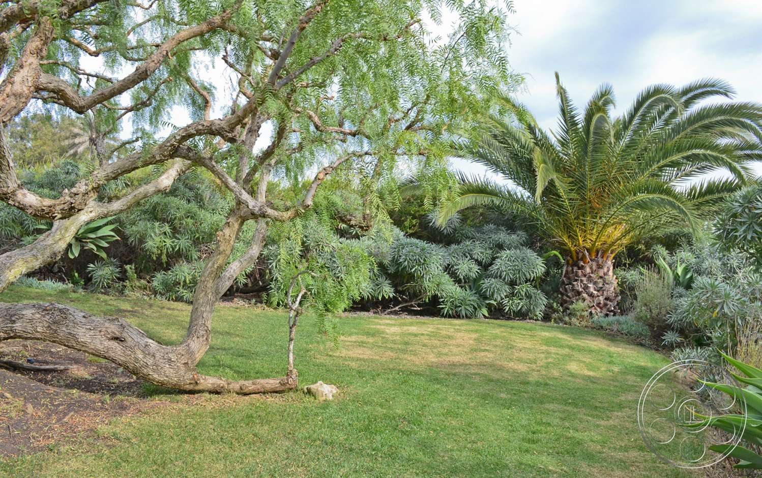 Mansion 16 - outdoors, tree, vegetation, land, grass, tree trunk, lawn