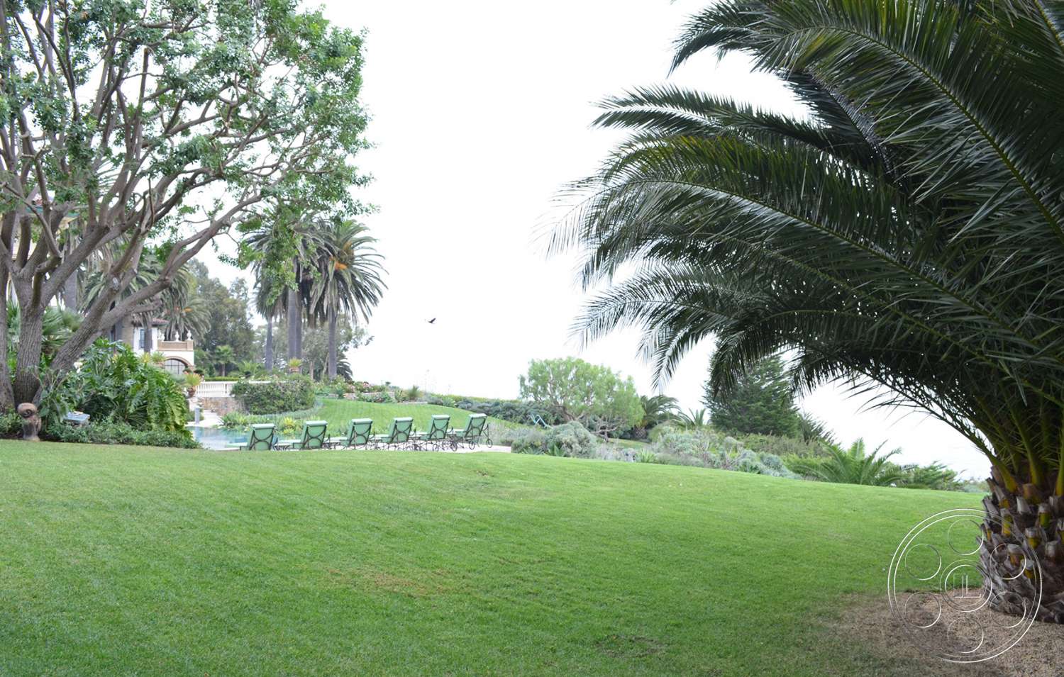 Mansion 16 - outdoors, tree, garden, arbour, grass, lawn, park