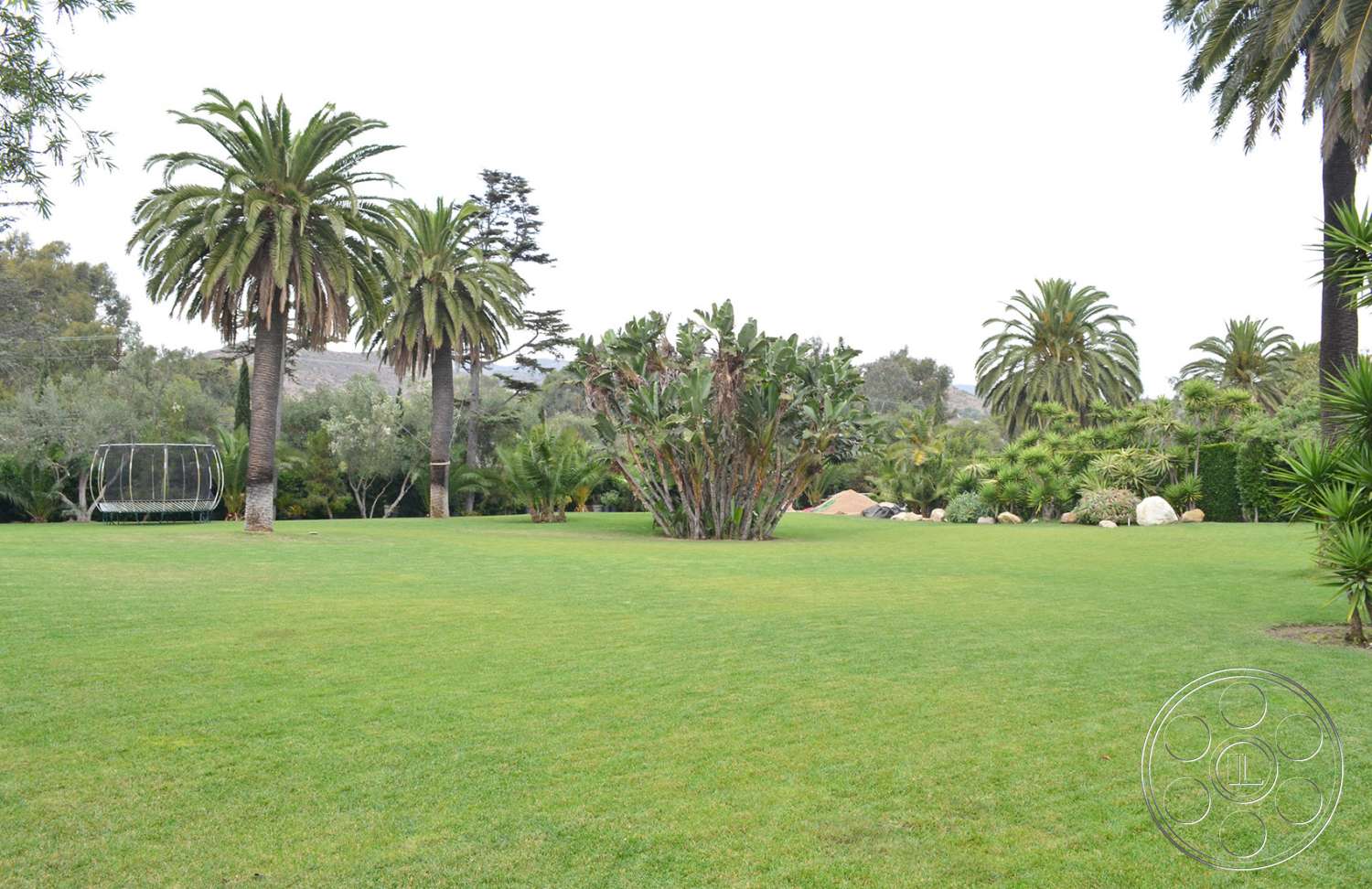 Mansion 16 - outdoors, grass, lawn, park