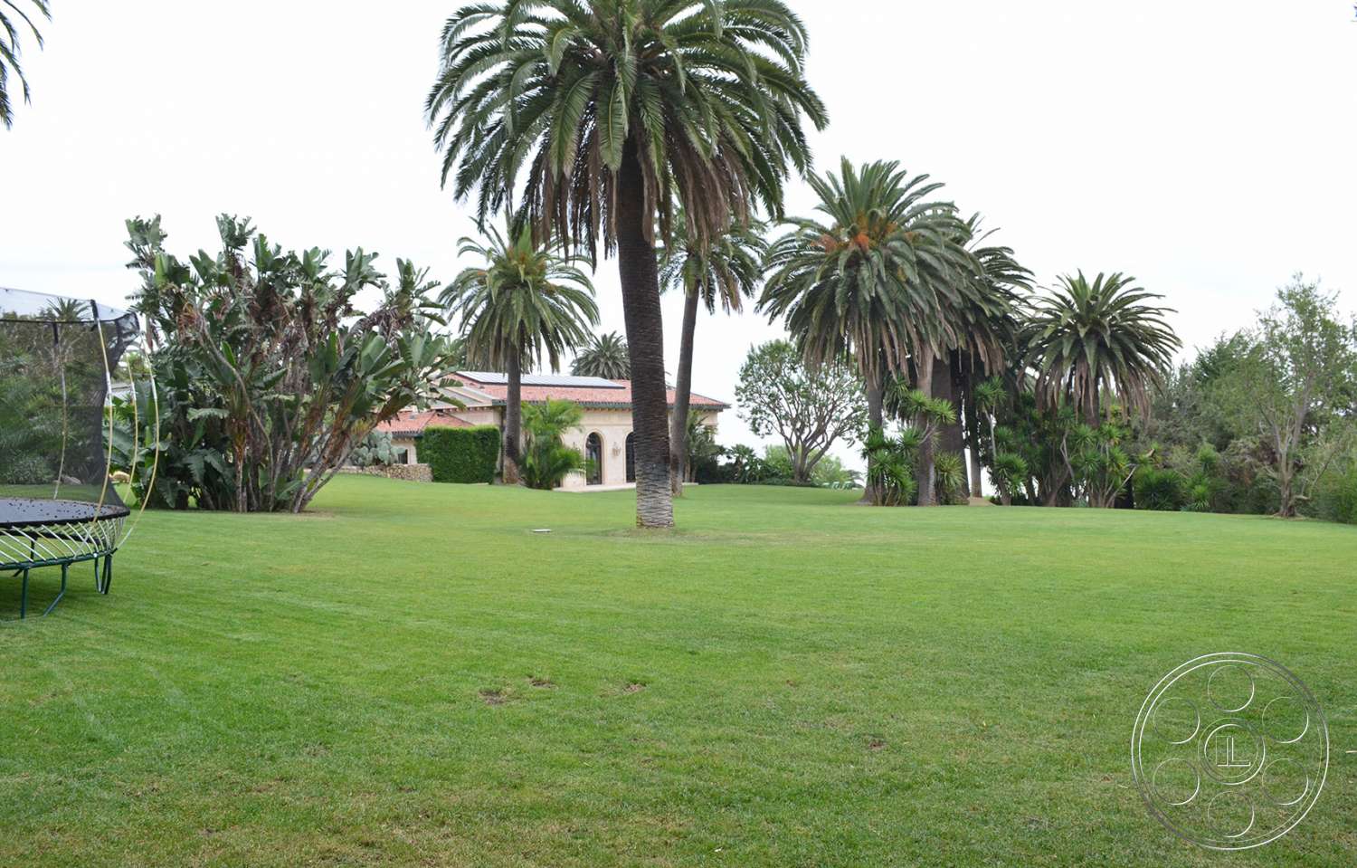 Mansion 16 - outdoors, tree, grass, lawn, park