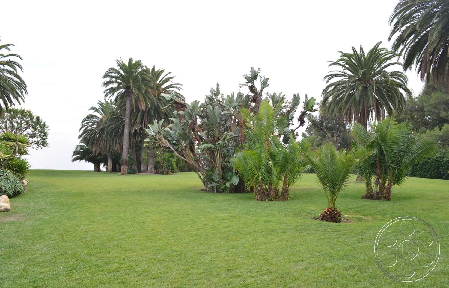 Mansion 16 - outdoors, tree, grass, lawn