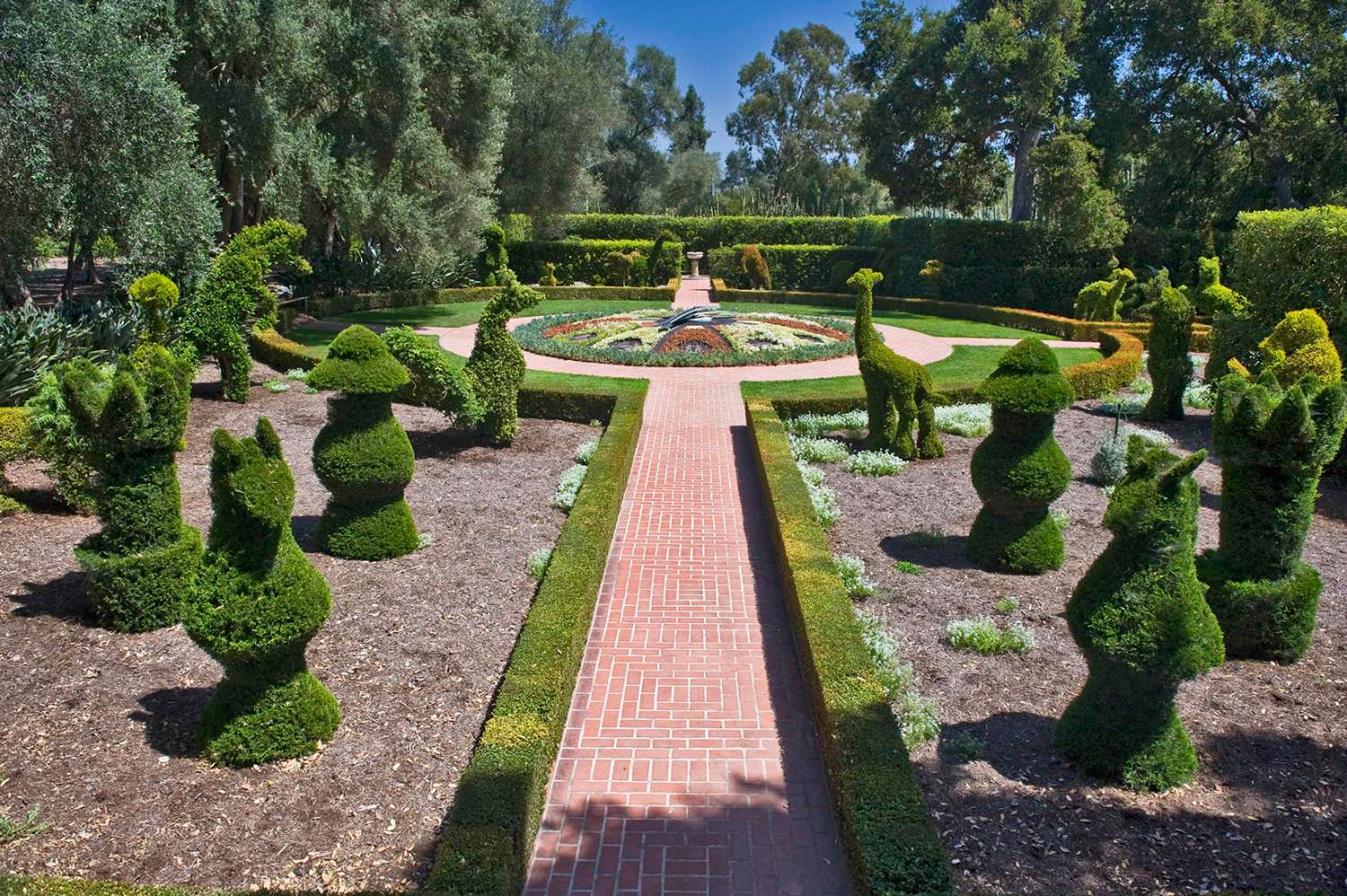 Santa Barbara 50