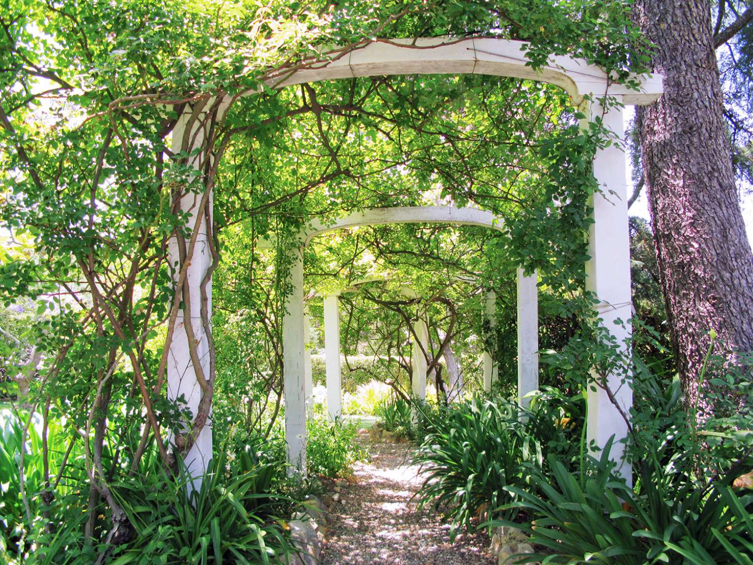 santa-barbara-16-filming-and-photography-location-santa-barbara