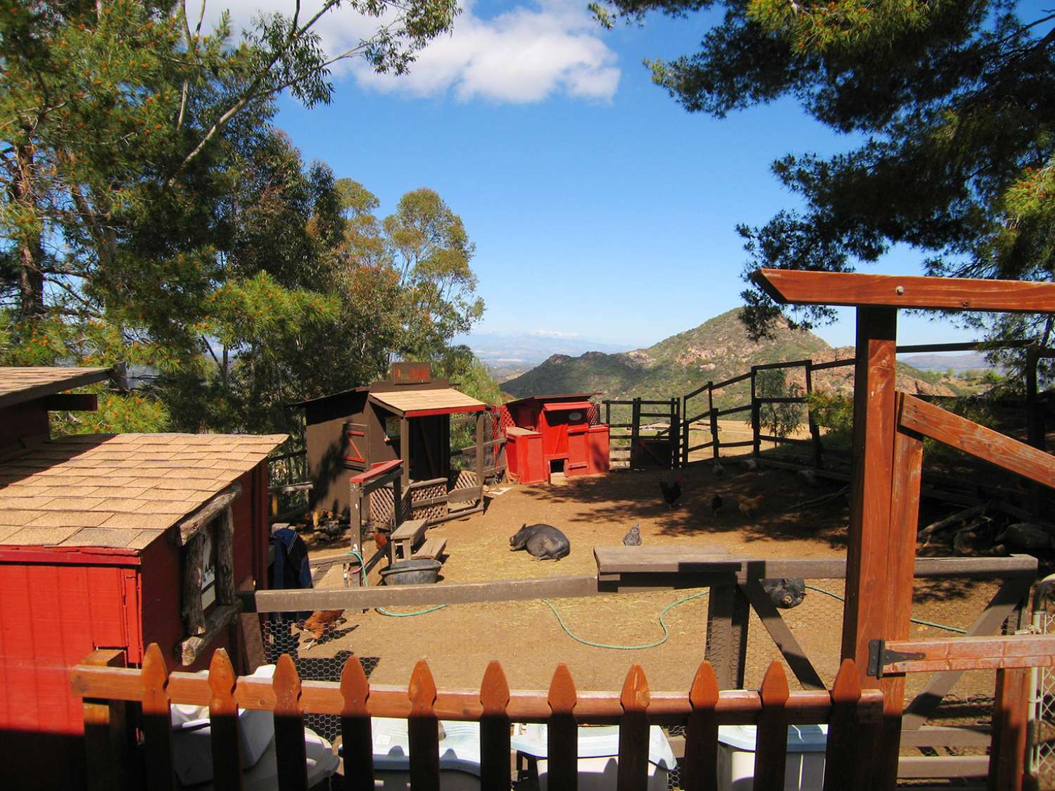 Ranch 18