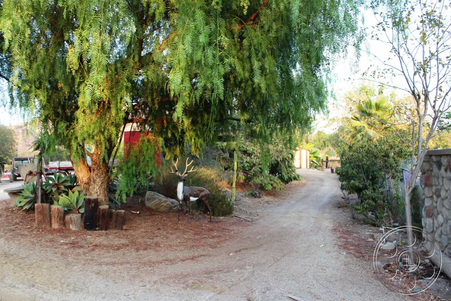 Ranch 6 - road, animal, bird, outdoors, dirt road, gravel, tree, garden, arbour, antelope, mammal, wildlife