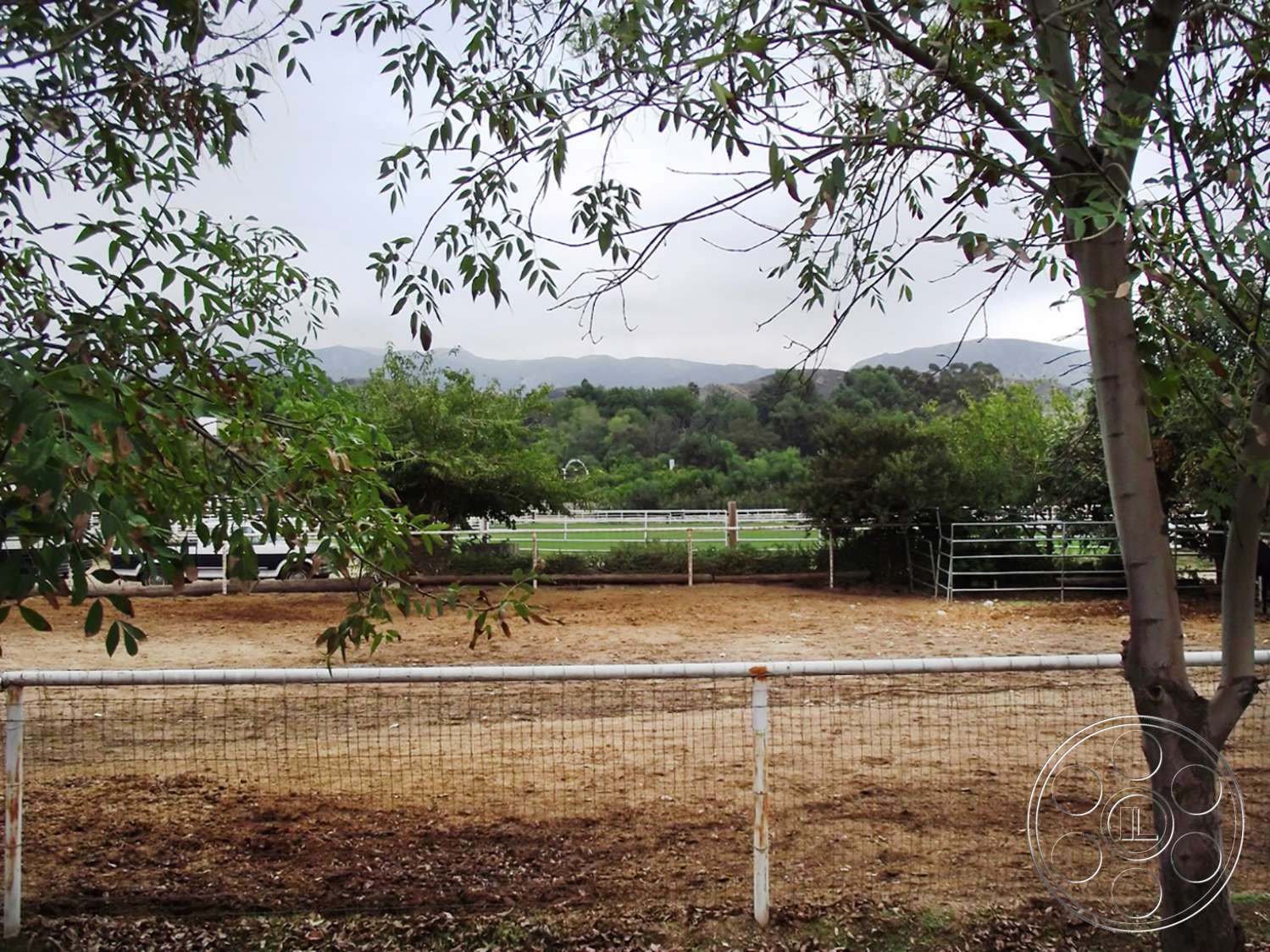 Ranch 6 - outdoors, ground, tree