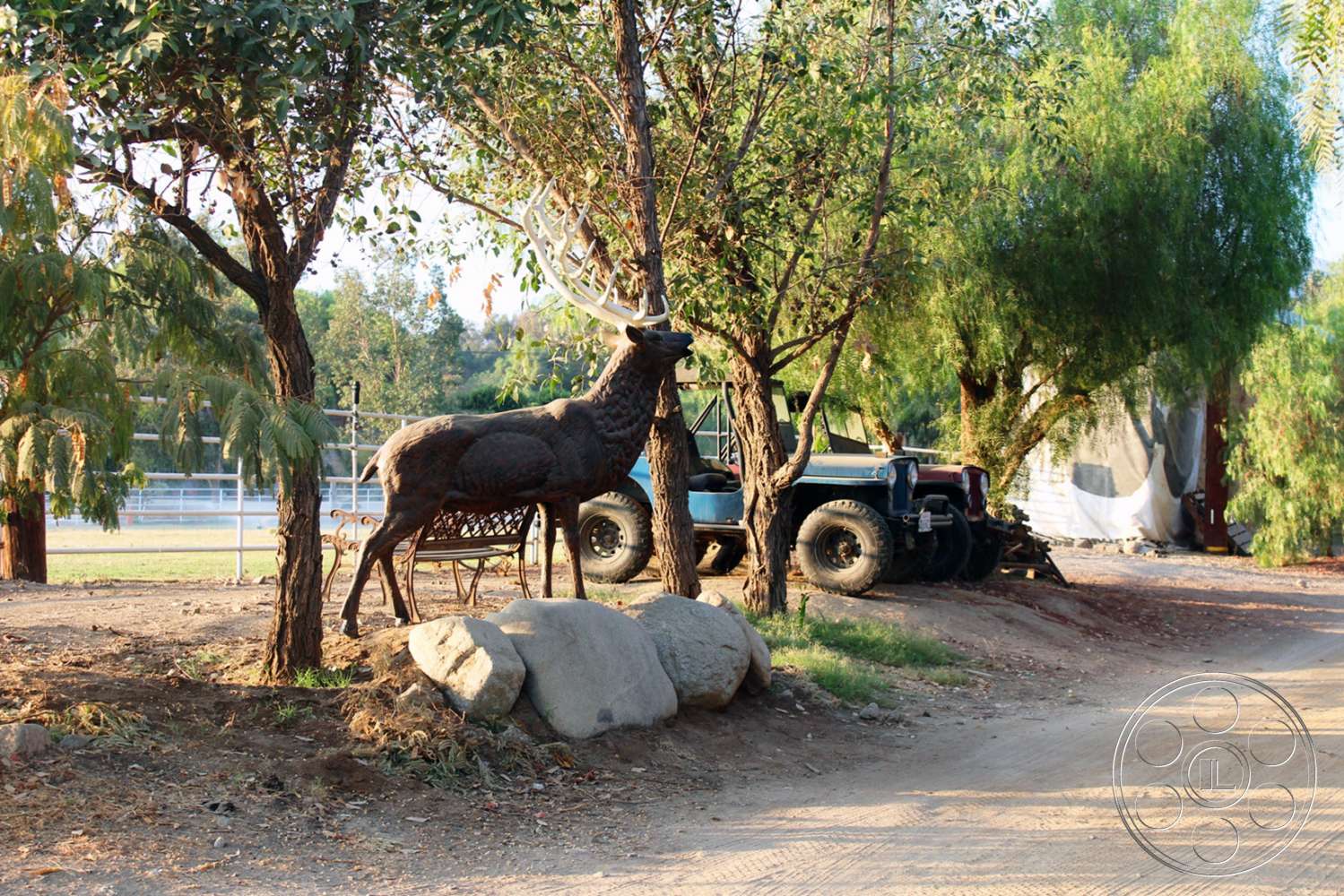 Ranch 6 - animal, antelope, mammal, wildlife