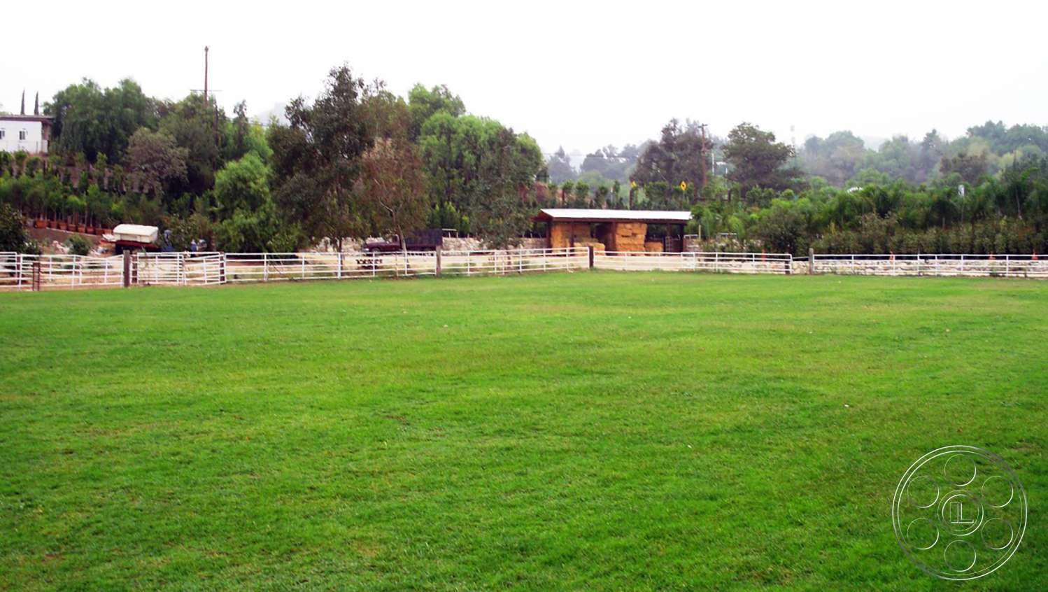 Ranch 6 - outdoors, field, yard, grass, lawn, park