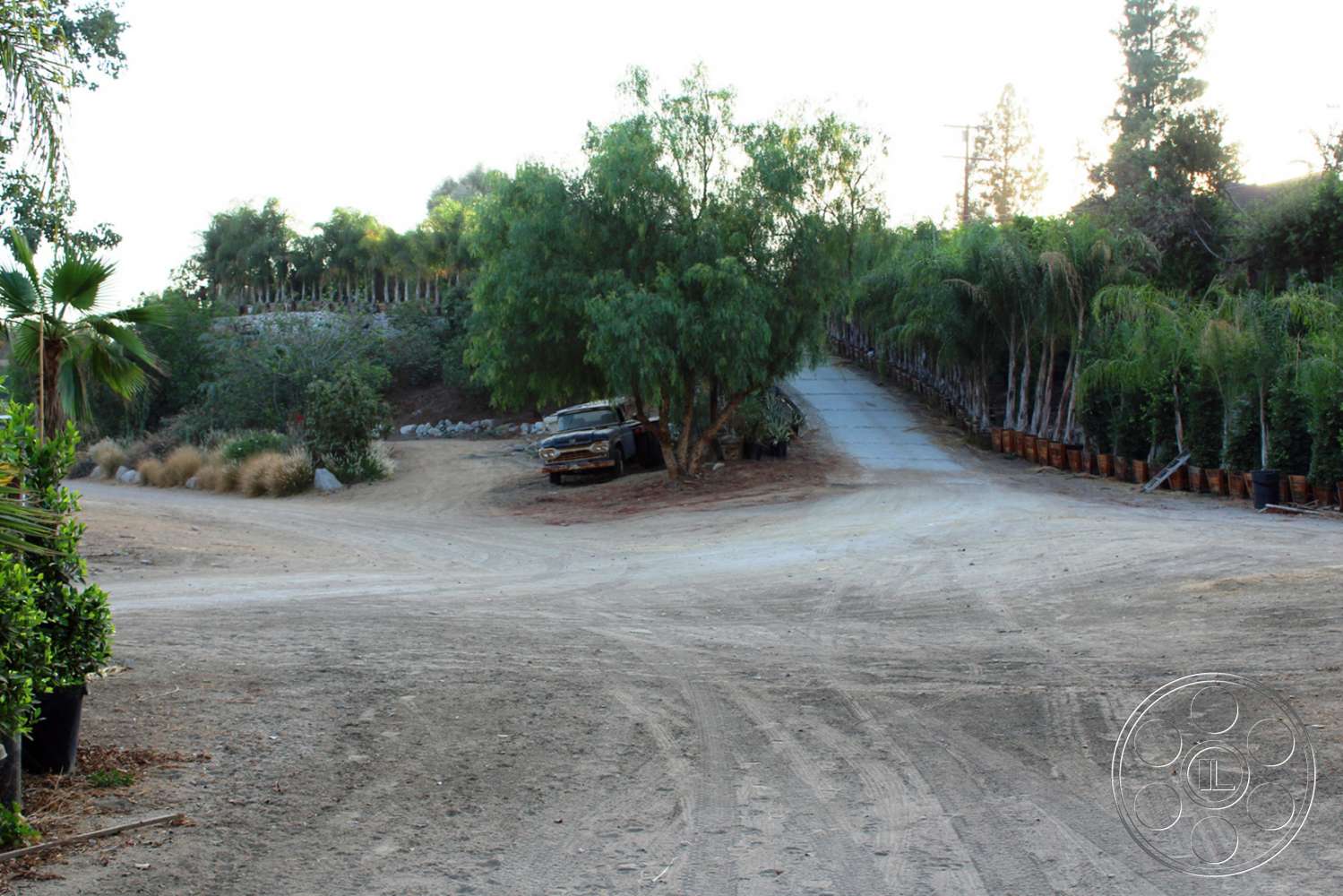 Ranch 6 - car, transportation, automobile, vehicle, road, outdoors, dirt road, gravel